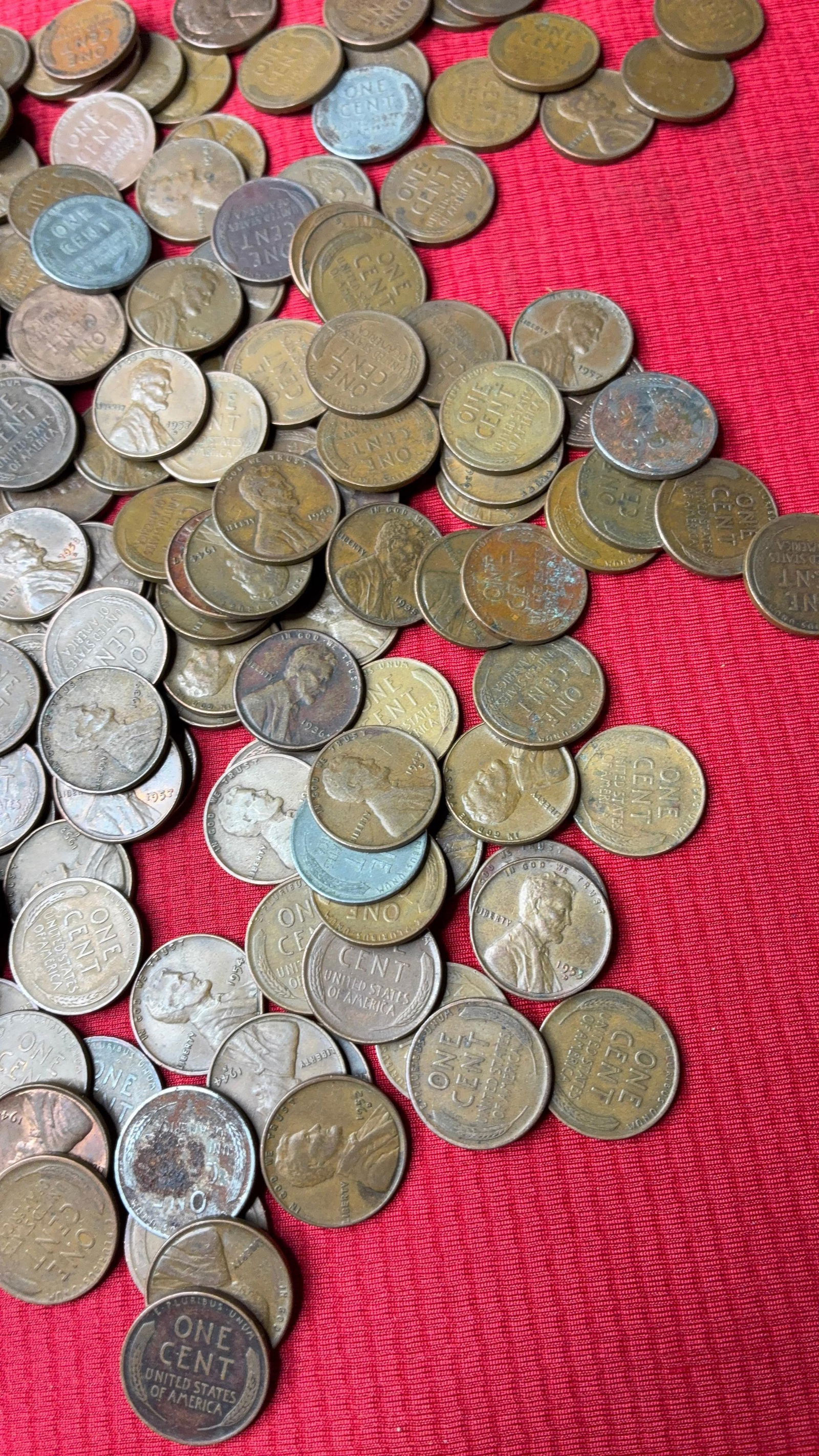 250 Unsorted Wheat Pennies - 4