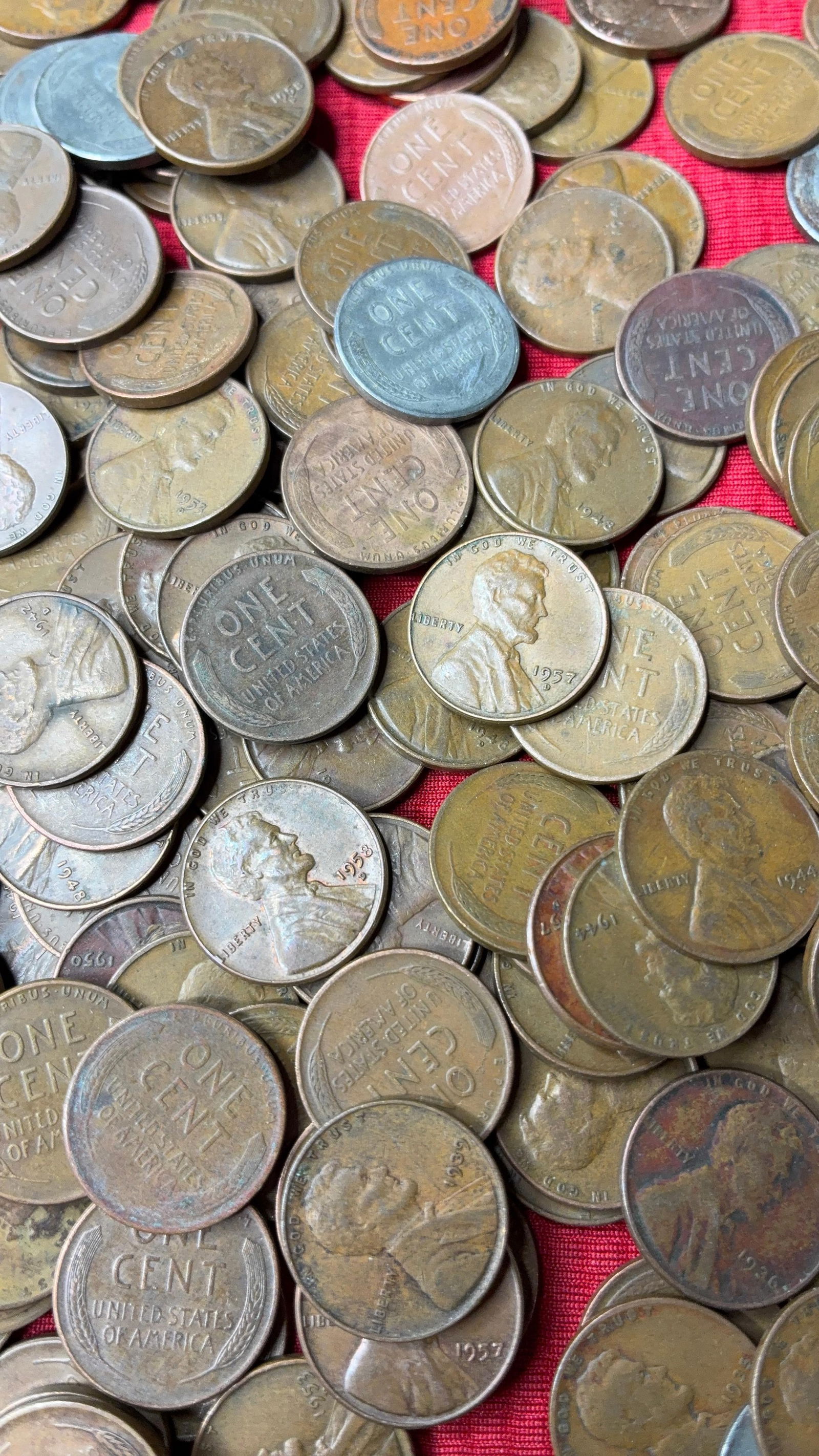 250 Unsorted Wheat Pennies - 6