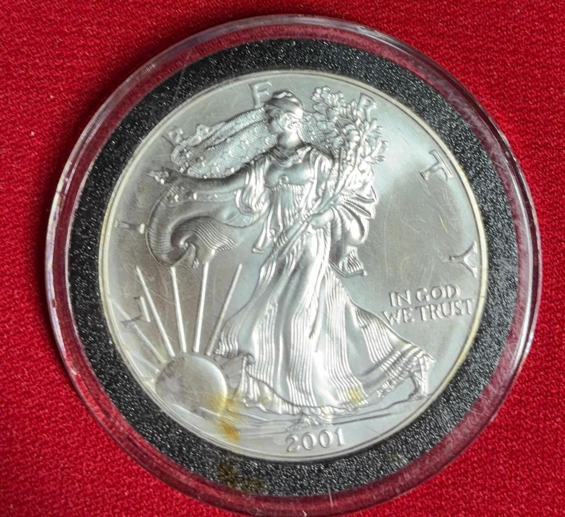 2000 and 2001 Silver Eagles - 3