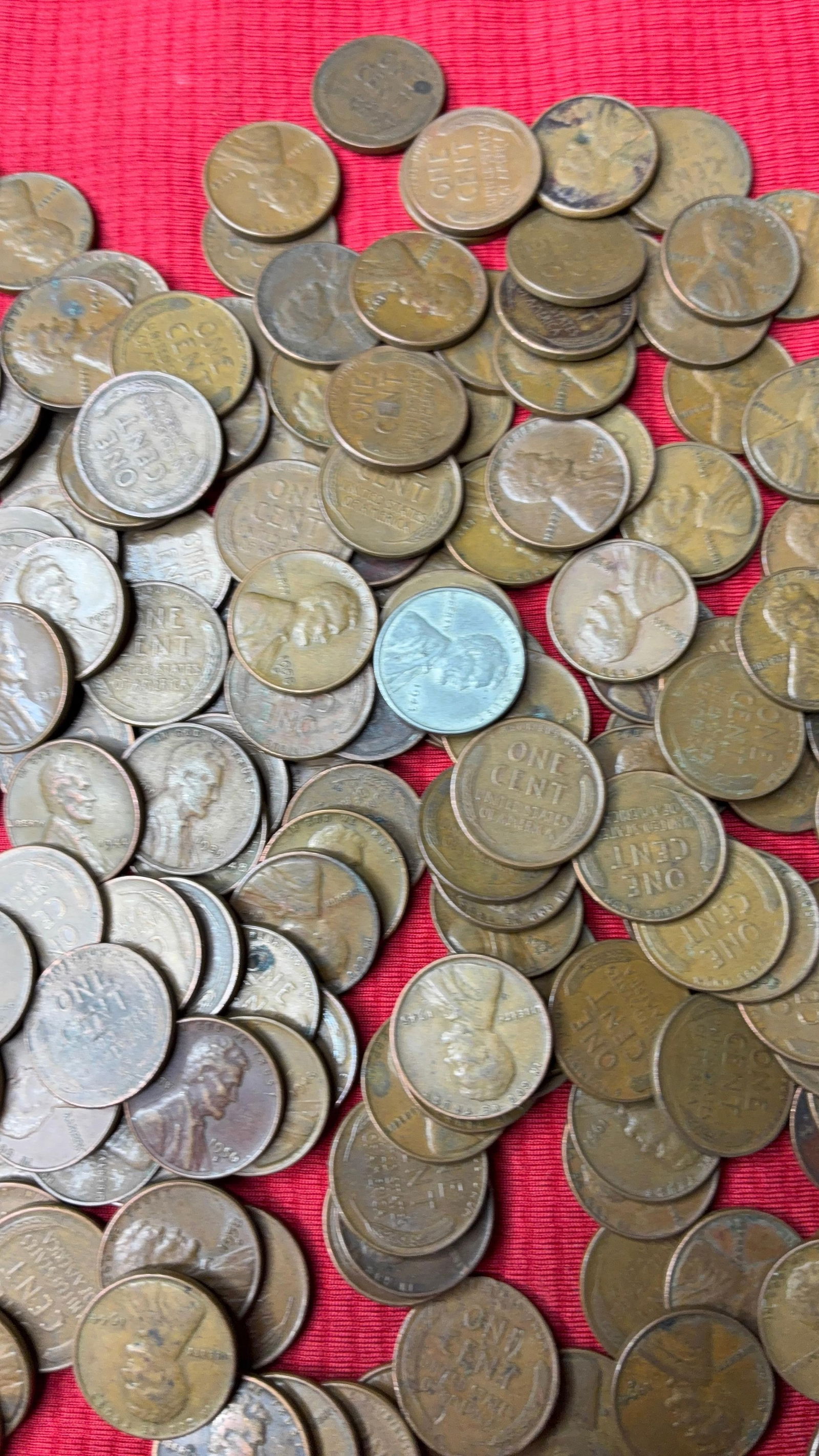 250 Unsorted Wheat Pennies (1 of 7)