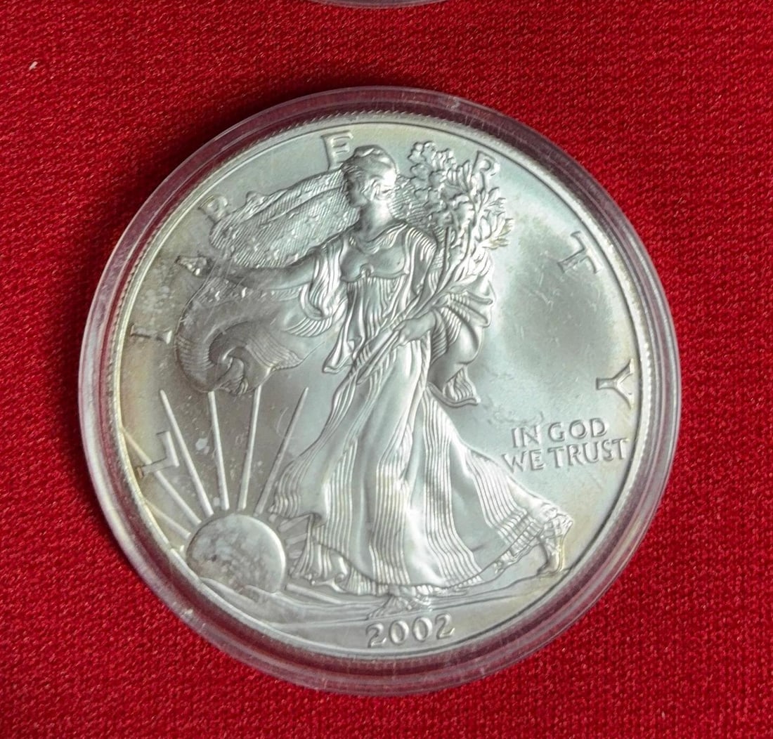 2002 and 2003 Silver Eagles - 3