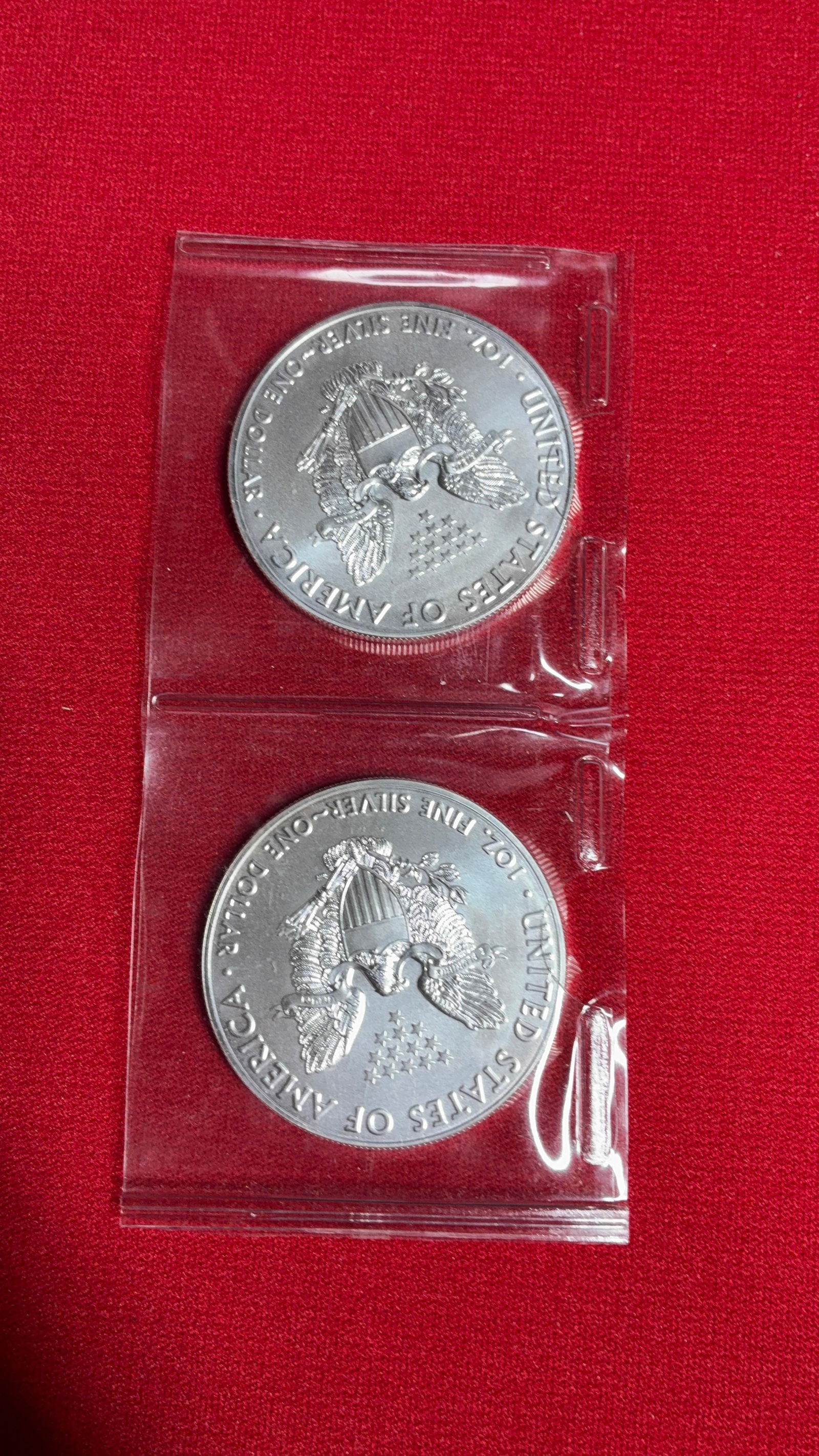 2017 Silver Eagles - 4