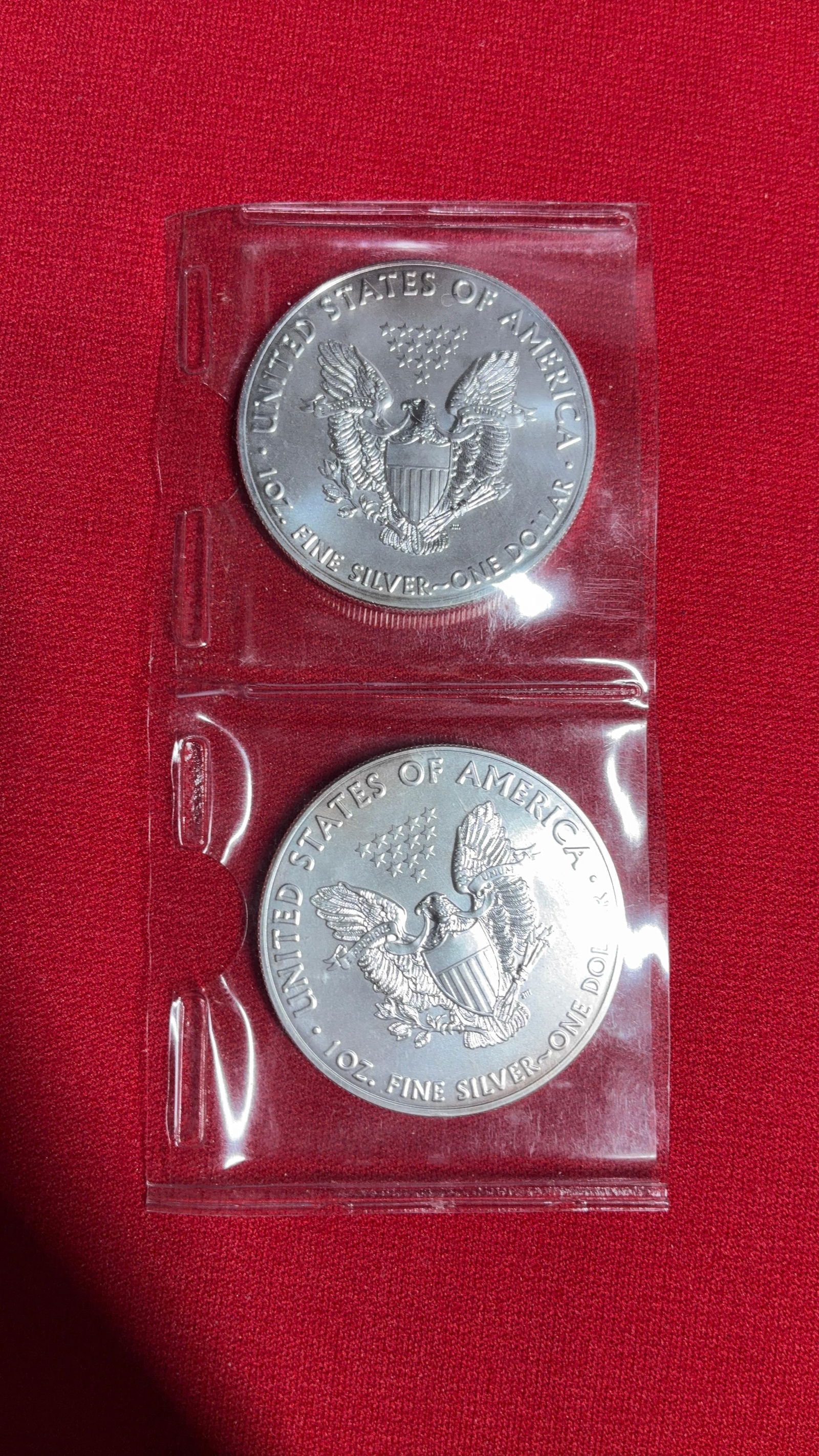 2017 Silver Eagles - 4