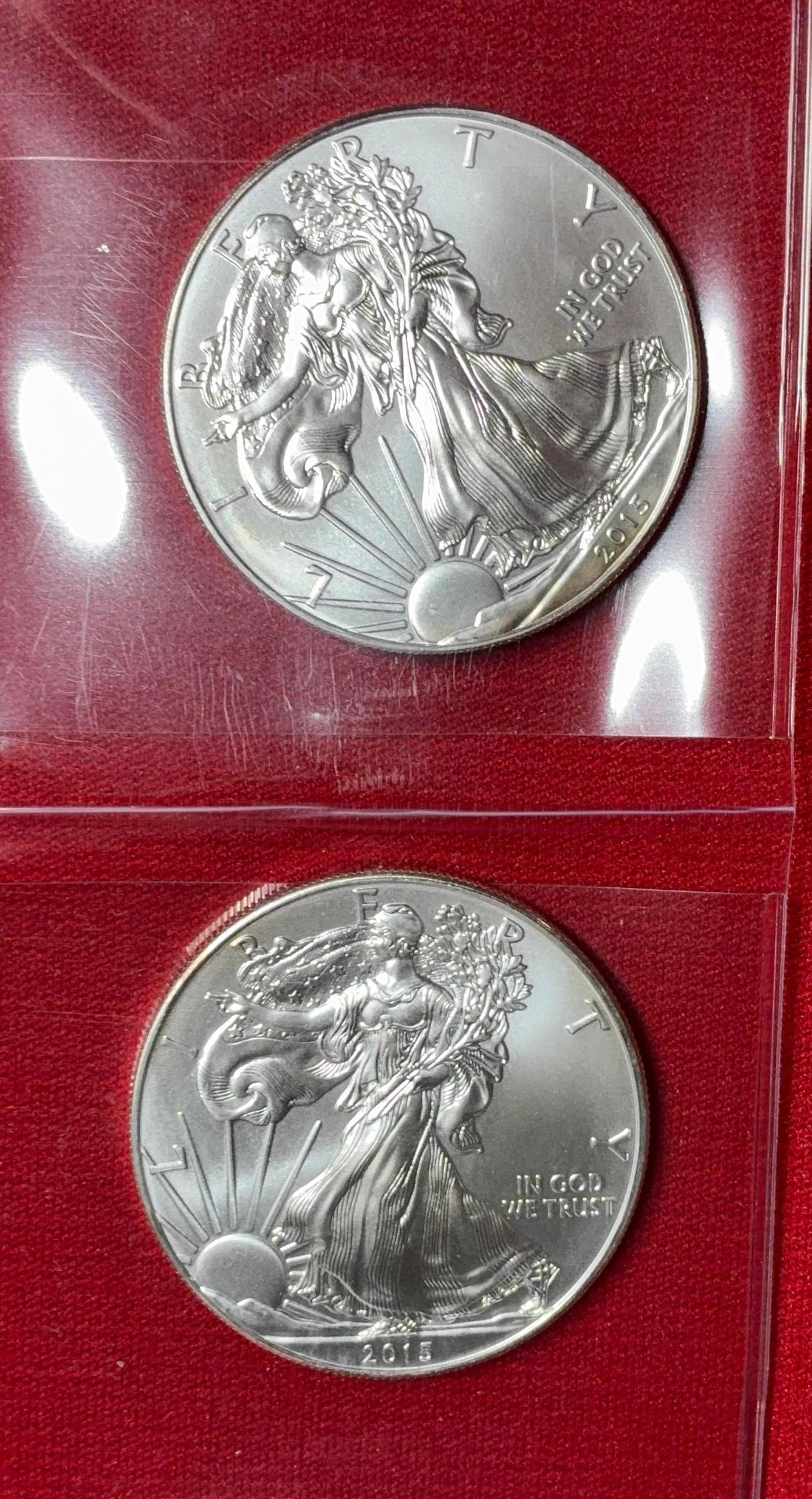 2015 Silver Eagles (1 of 2)