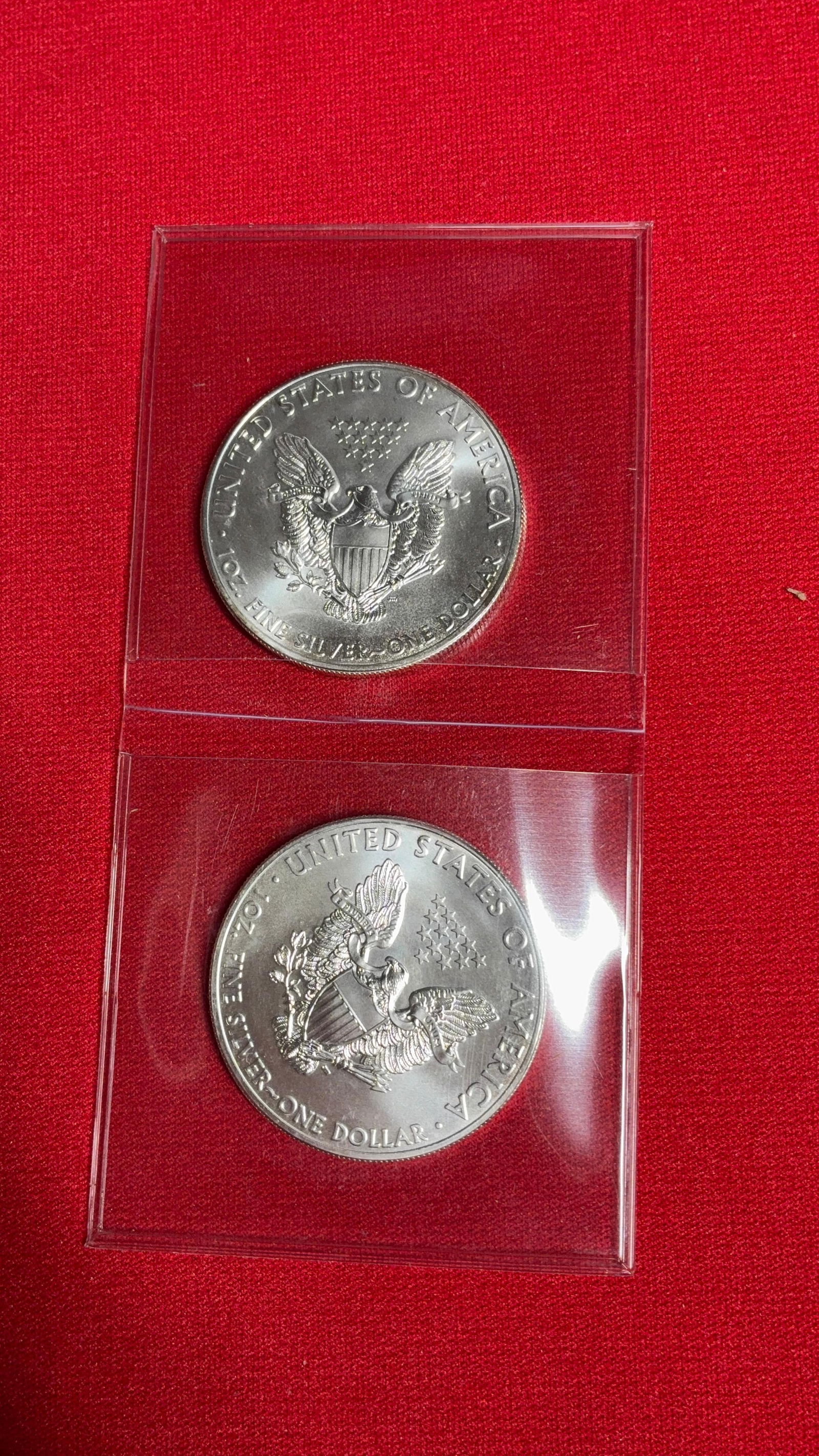 2015 Silver Eagles - 2