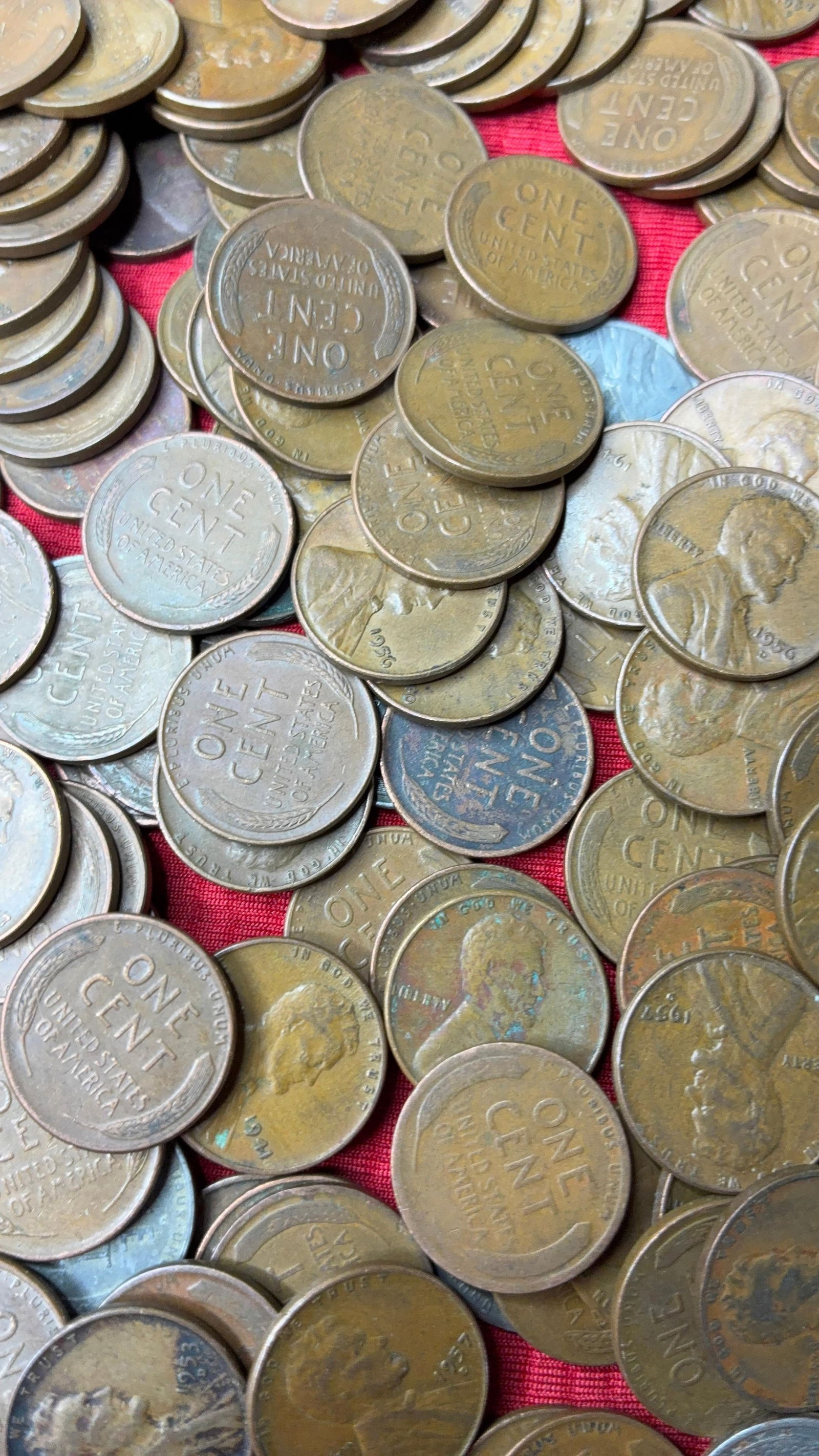 250 Unsorted Wheat Pennies (1 of 6)