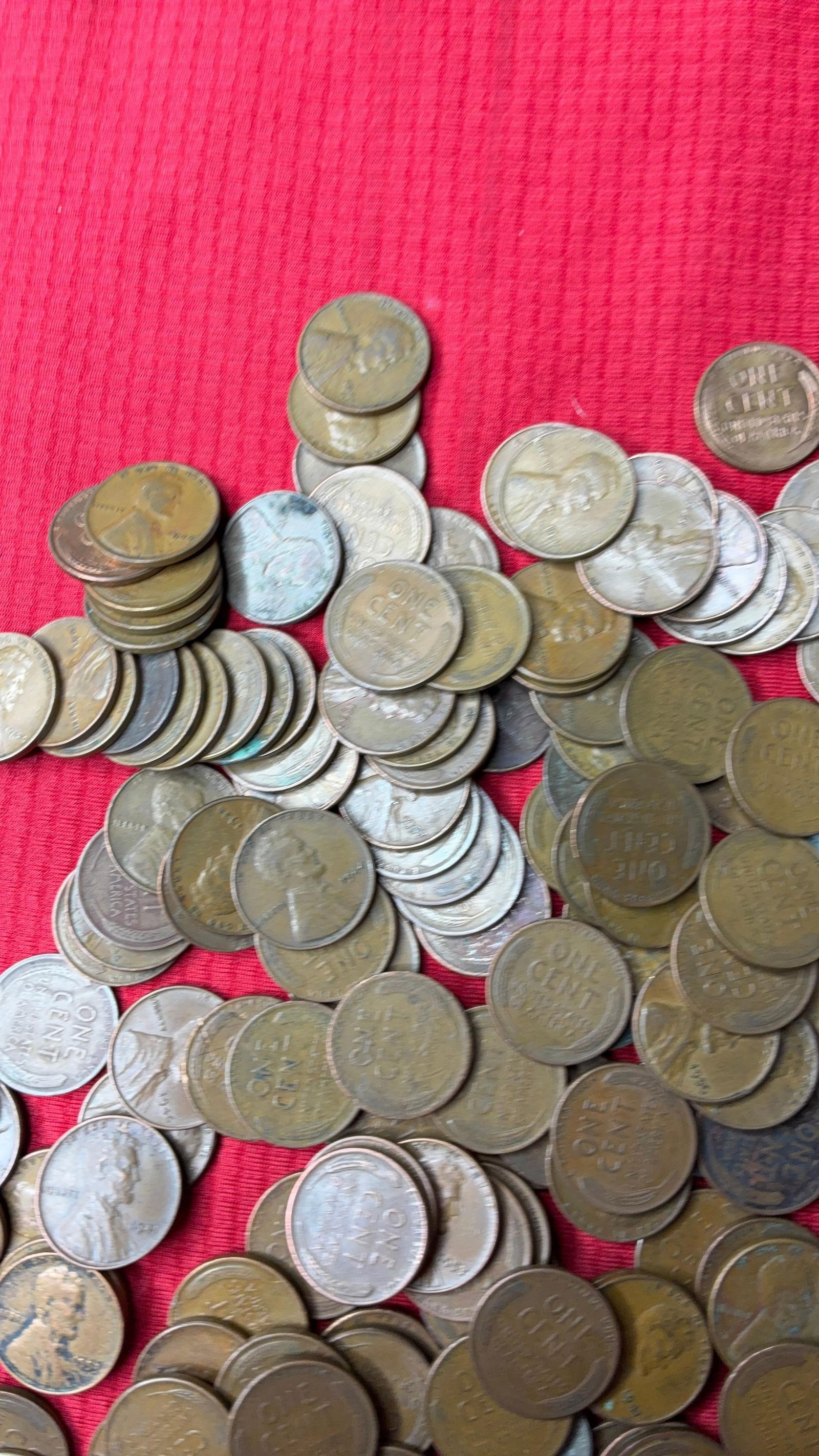 250 Unsorted Wheat Pennies - 3