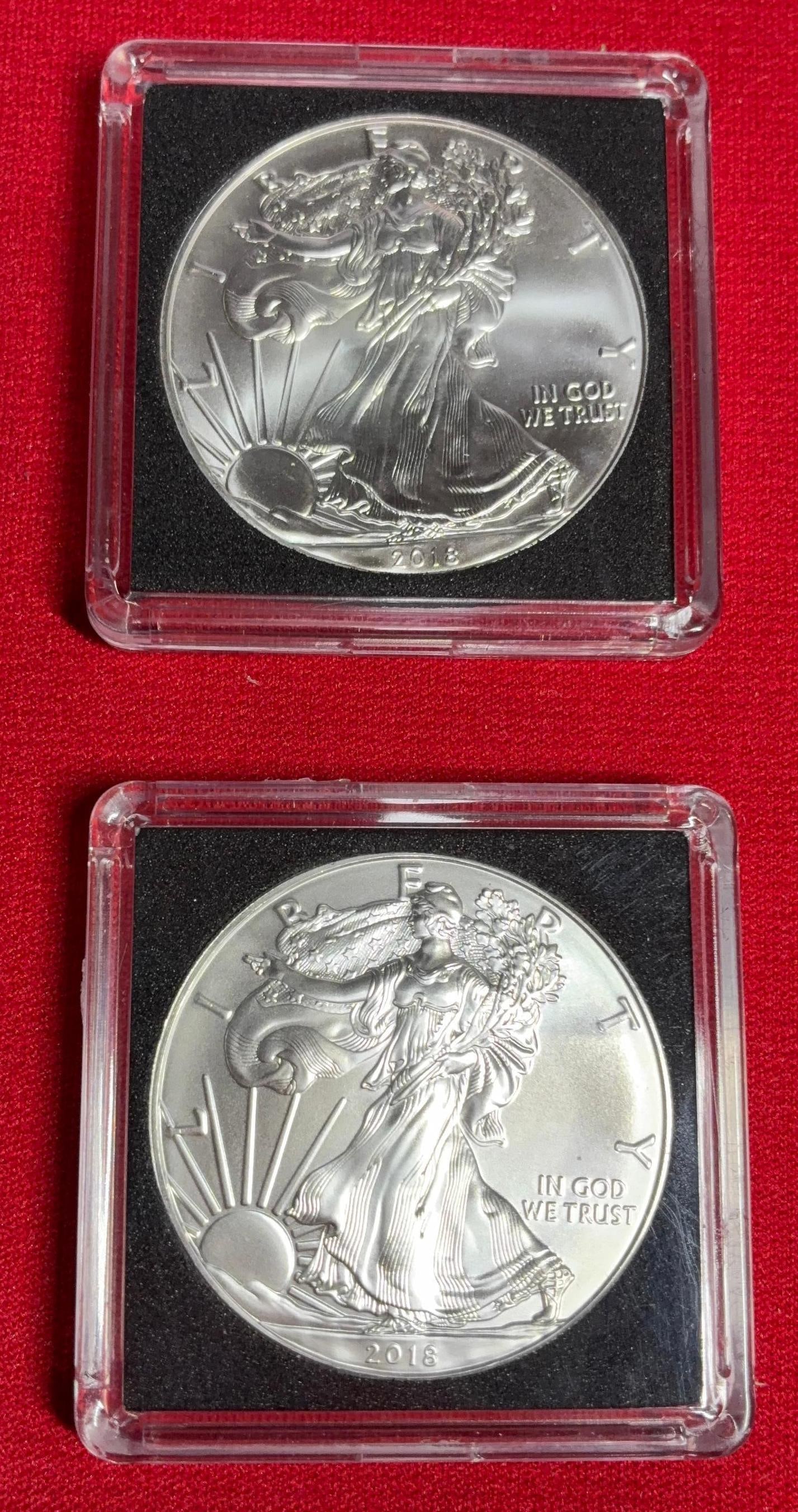2018 Silver Eagles (1 of 2)