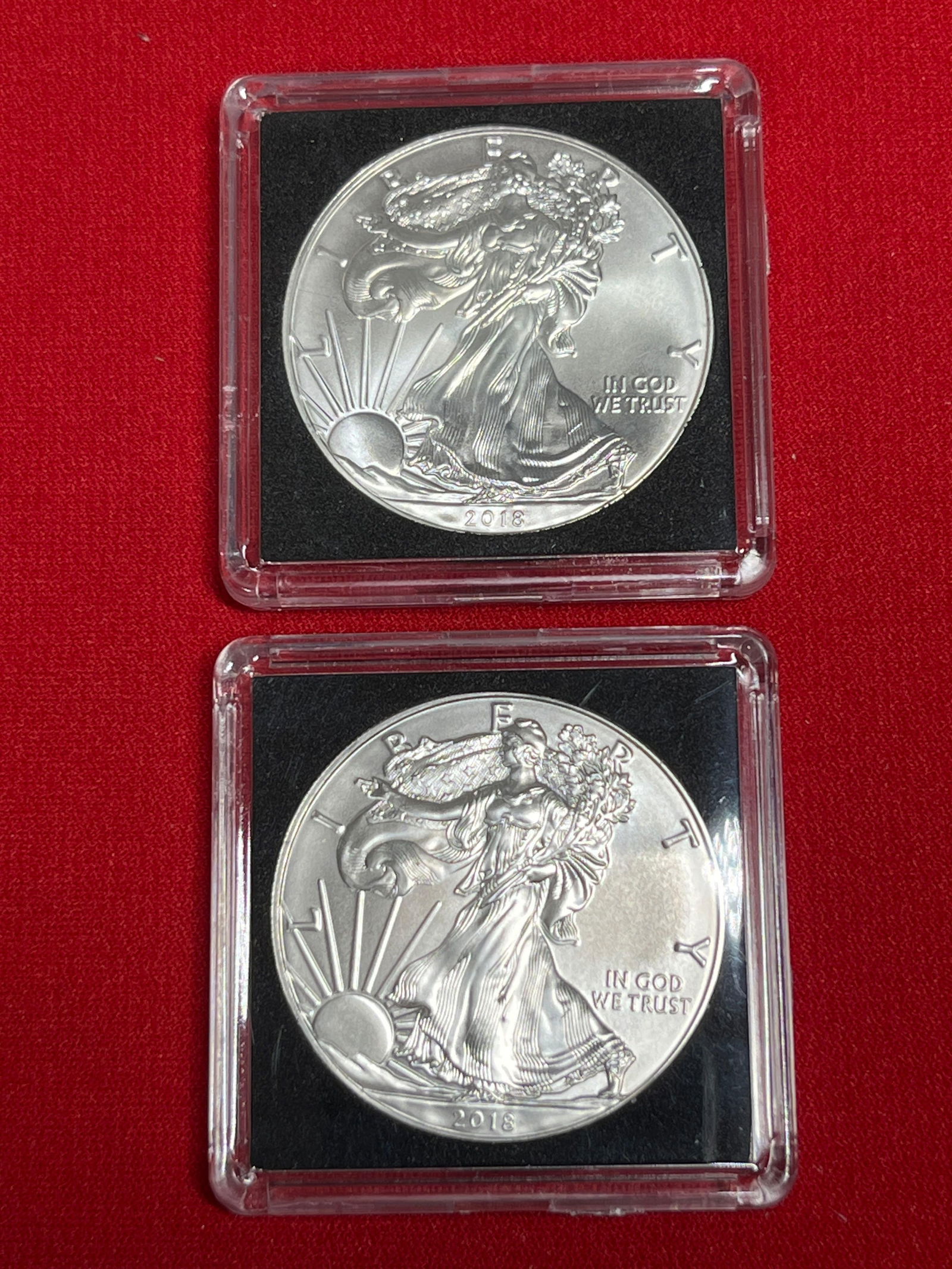 2018 Silver Eagles (1 of 5)