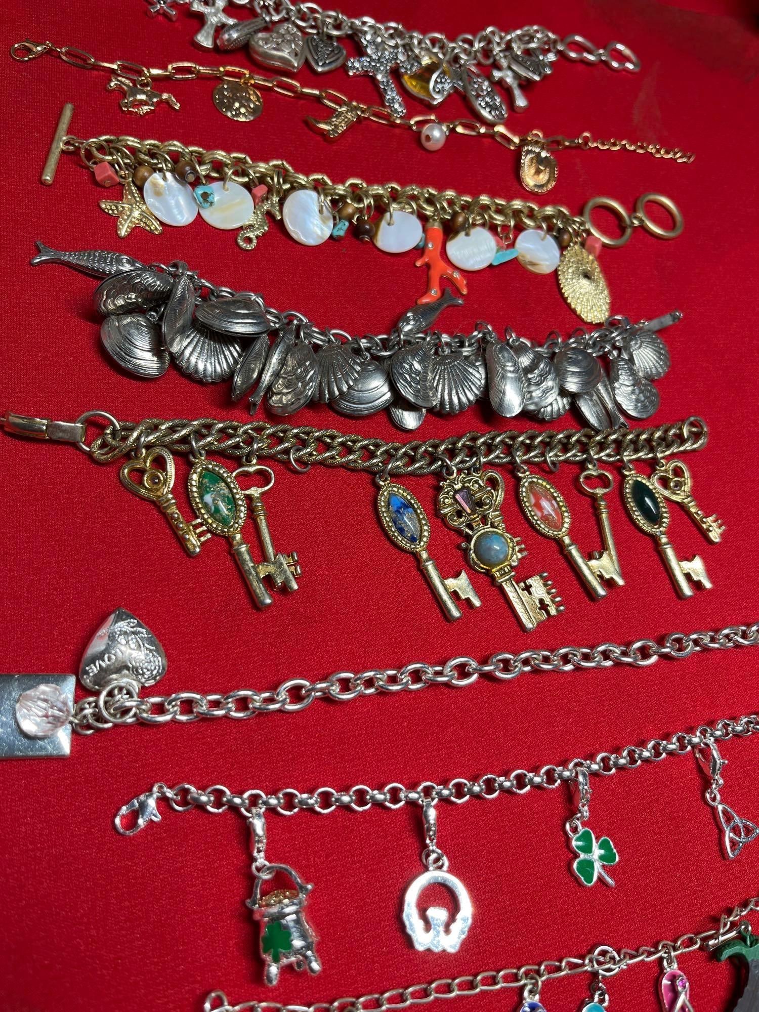 Souvenir, Collections, and Charm Bracelets (1 of 5)