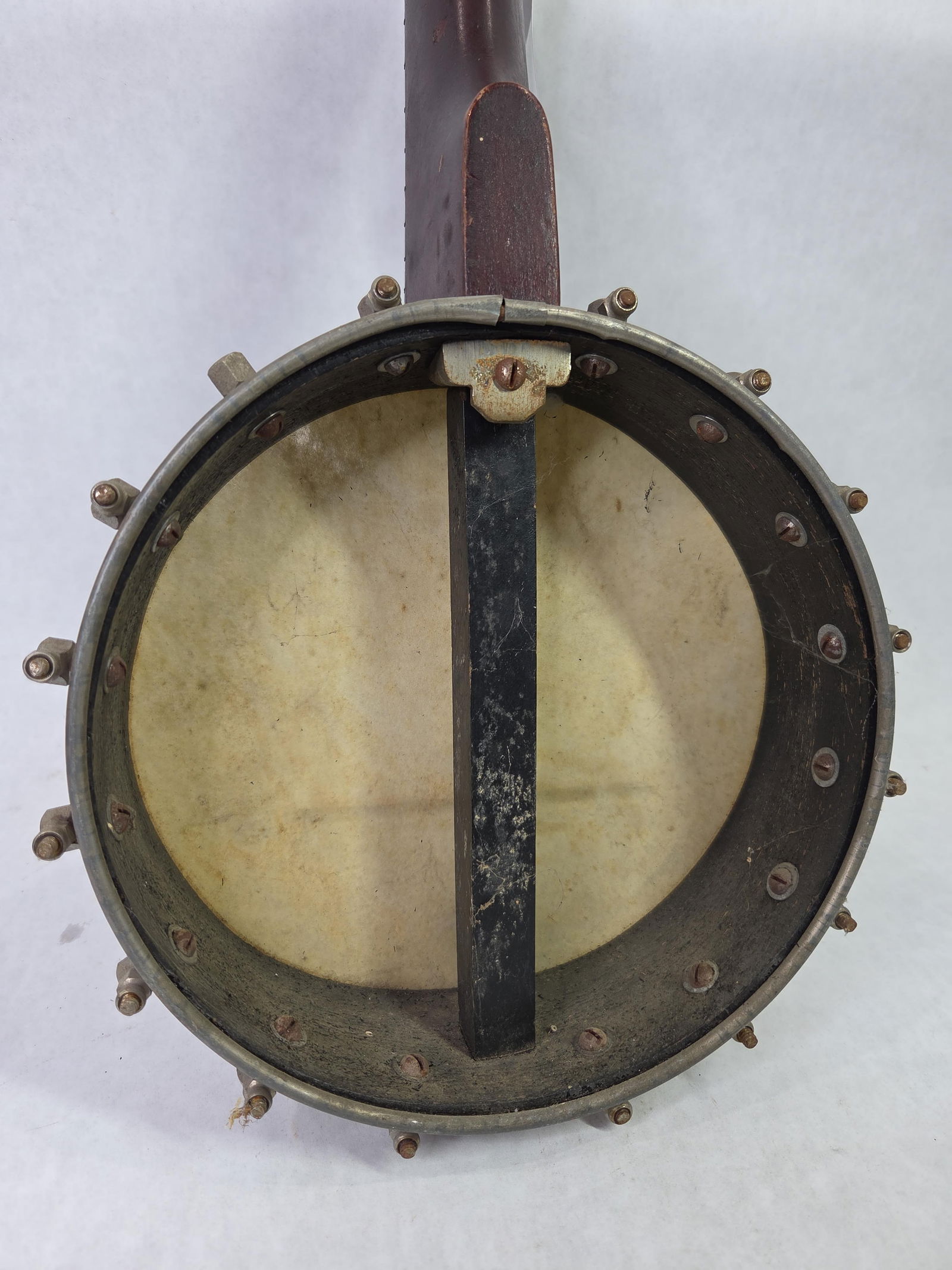 1920's Open Back Mandolin 8 String Banjolin - 4