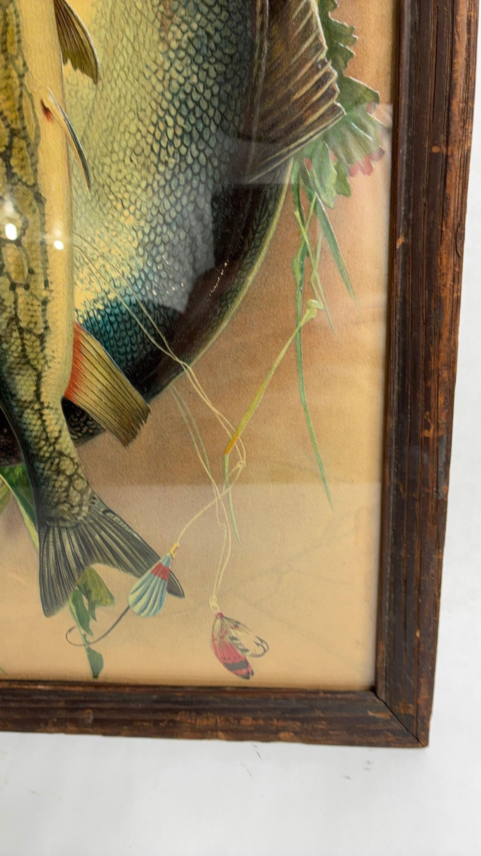 Embossed Hanging Fish Chromolithograph - 3