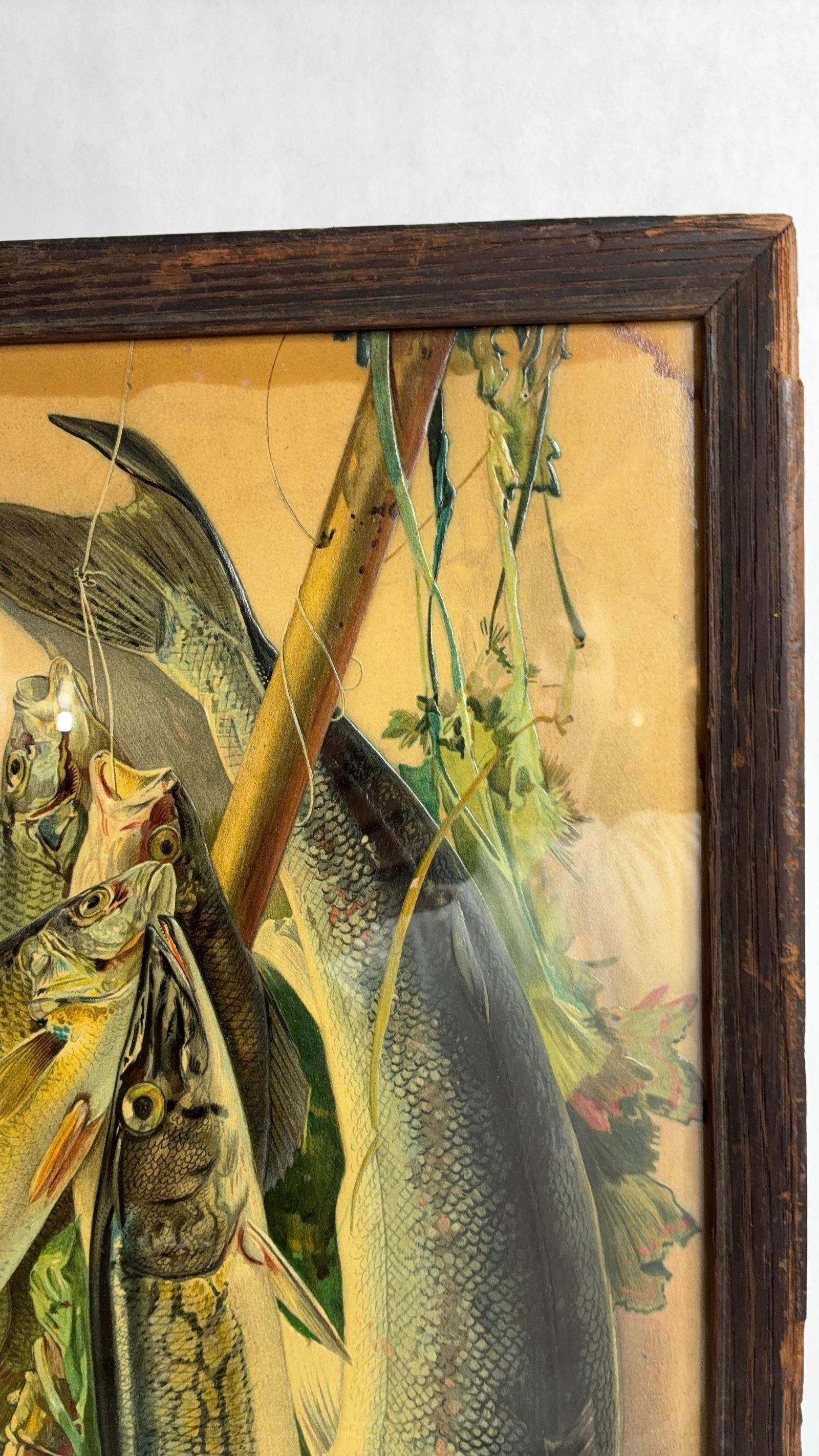 Embossed Hanging Fish Chromolithograph - 4