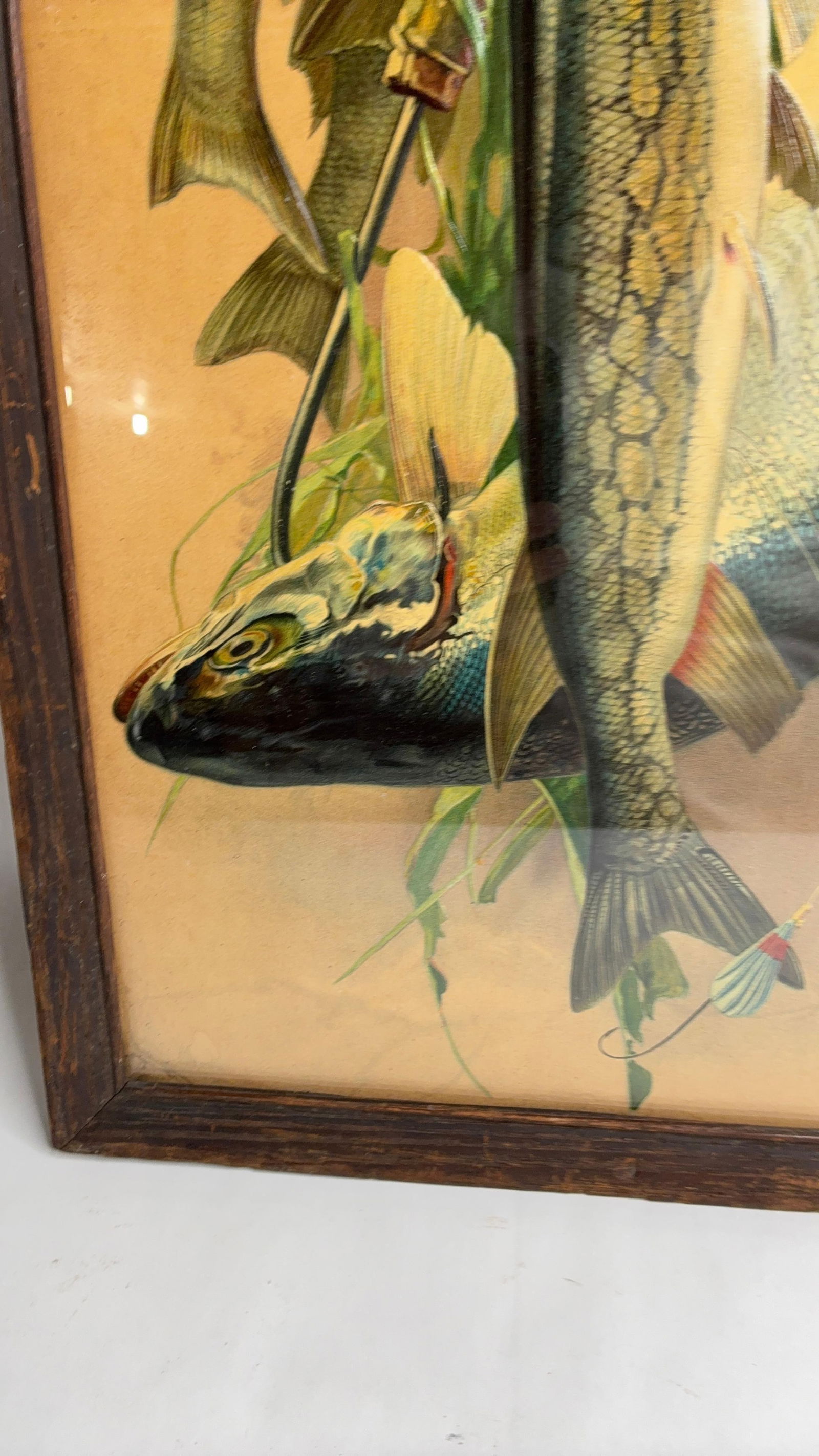 Embossed Hanging Fish Chromolithograph - 6