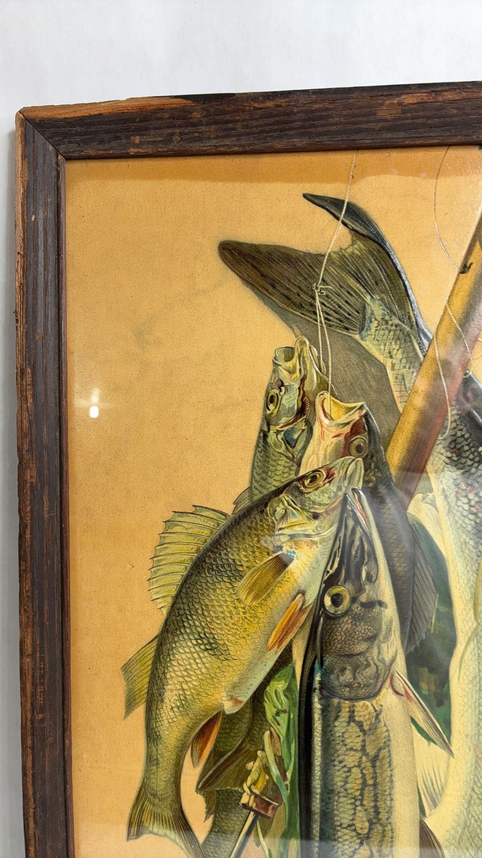 Embossed Hanging Fish Chromolithograph - 7