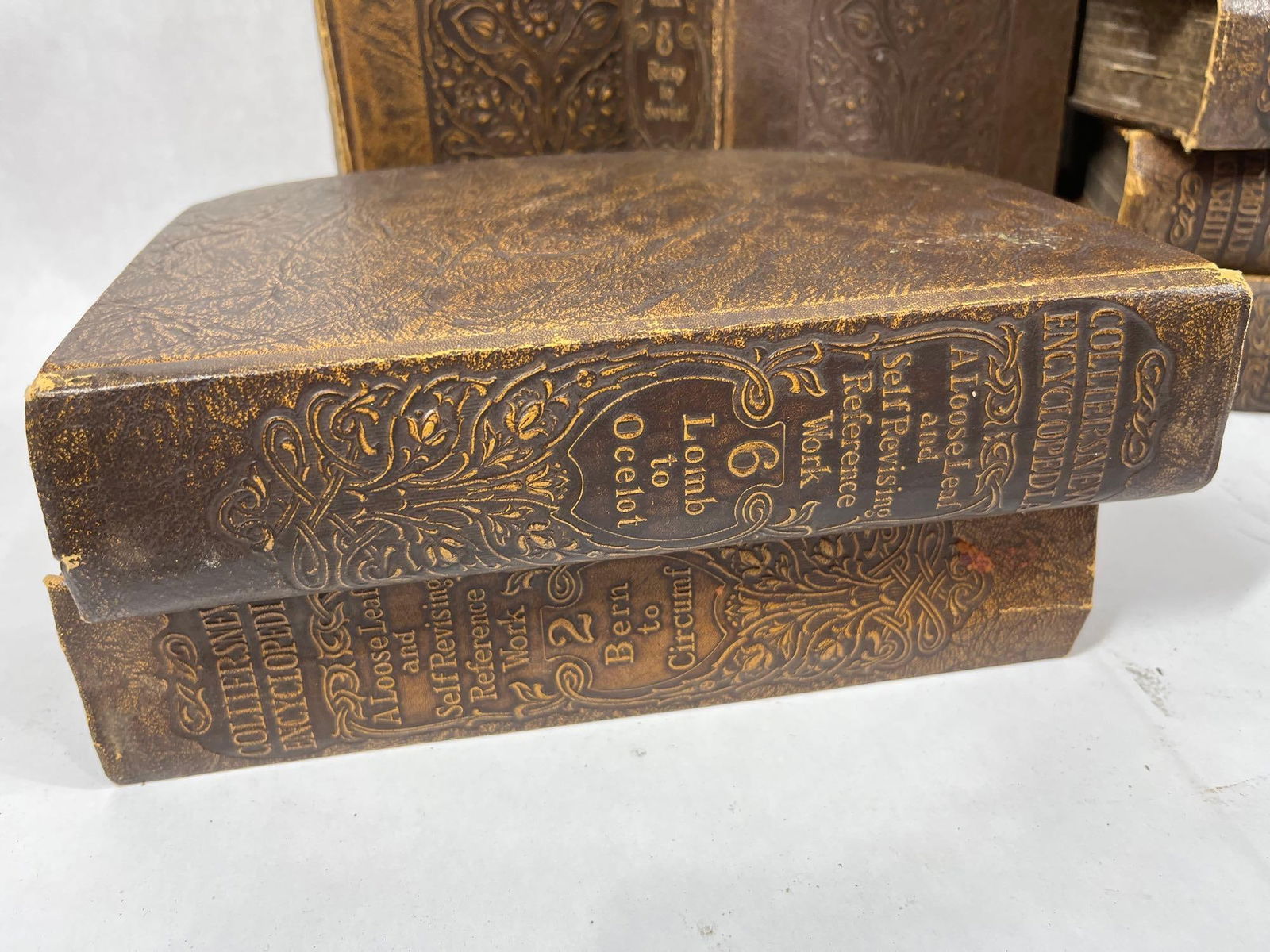 1921 Colliers New Encyclopedia Set - 8