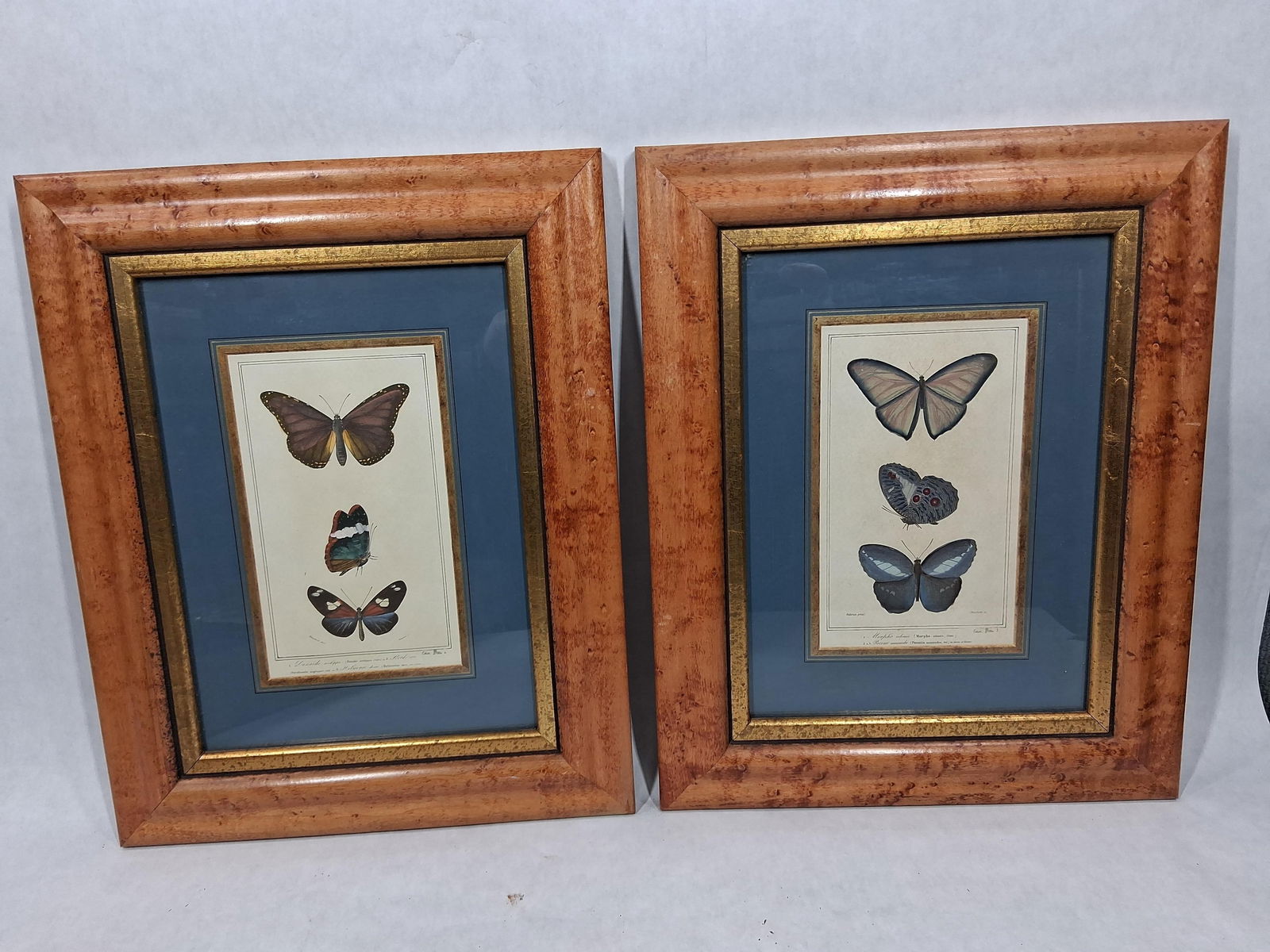 Lot of 2 Framed Butterfly Lithographs (1 of 8)