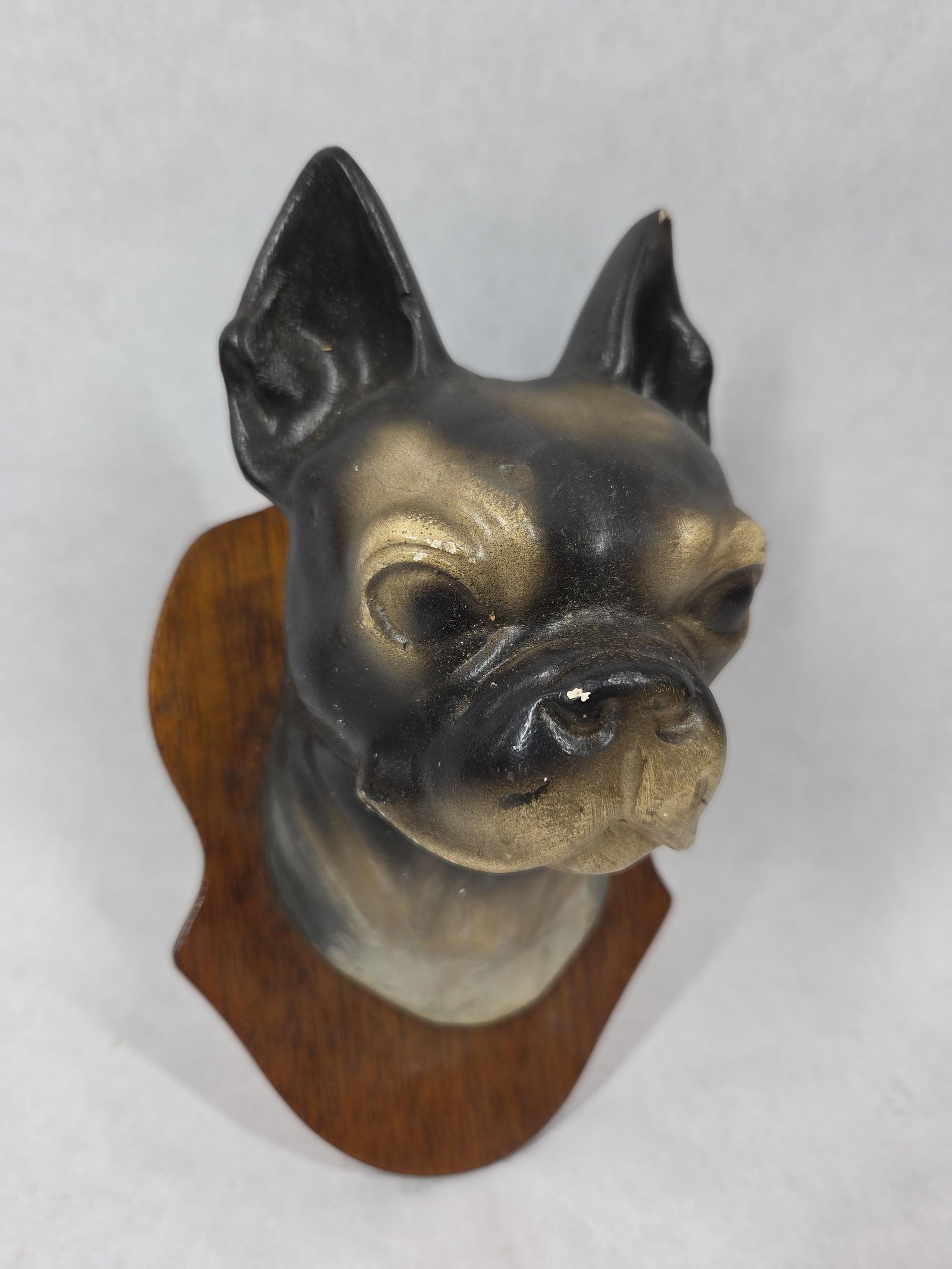 Sgt Stumpy Chalkware Head Mount (1 of 5)