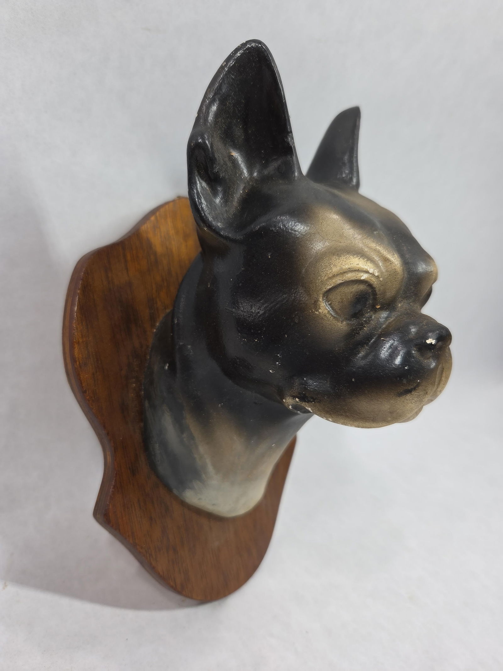 Sgt Stumpy Chalkware Head Mount - 2