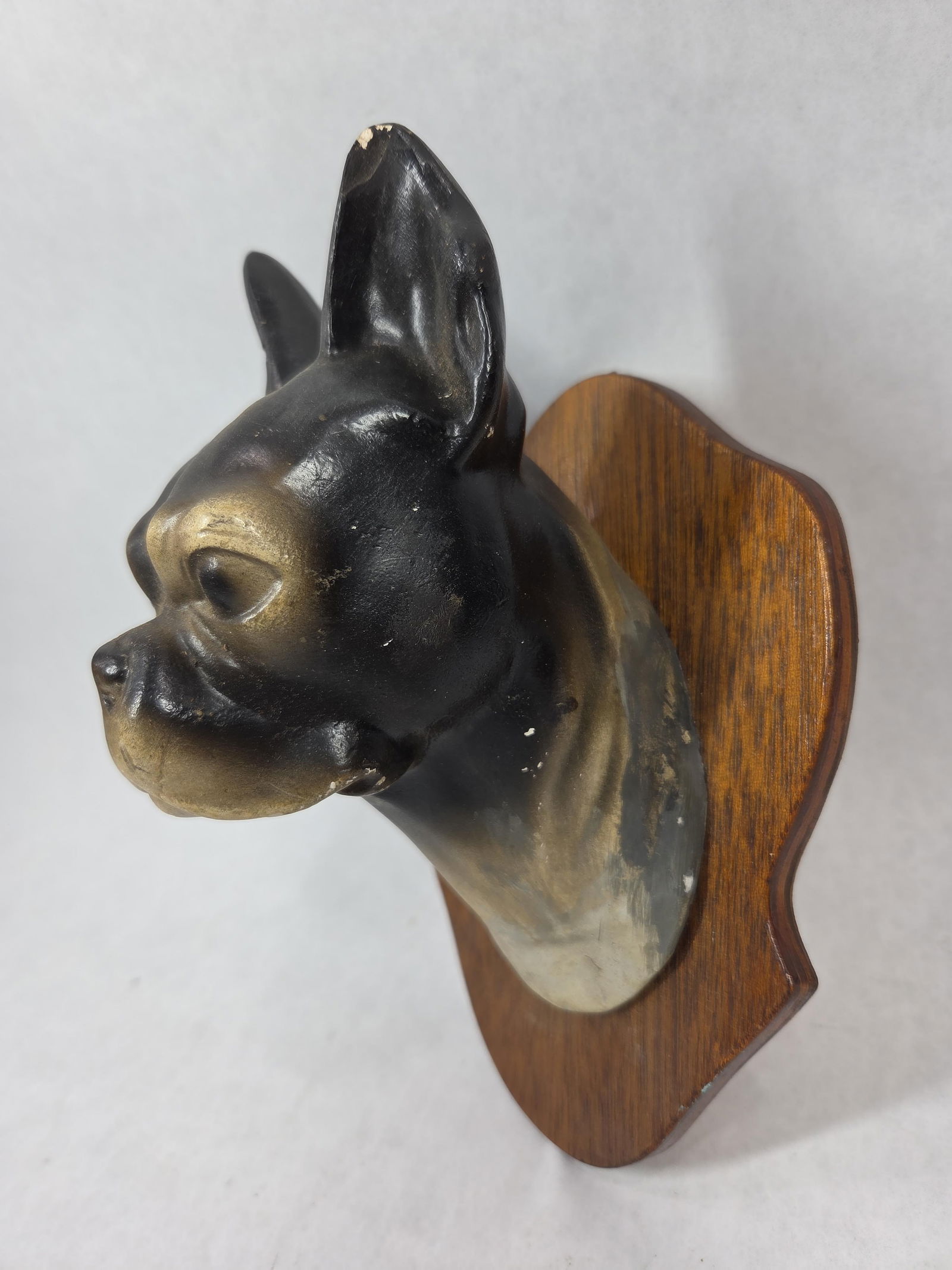 Sgt Stumpy Chalkware Head Mount - 3