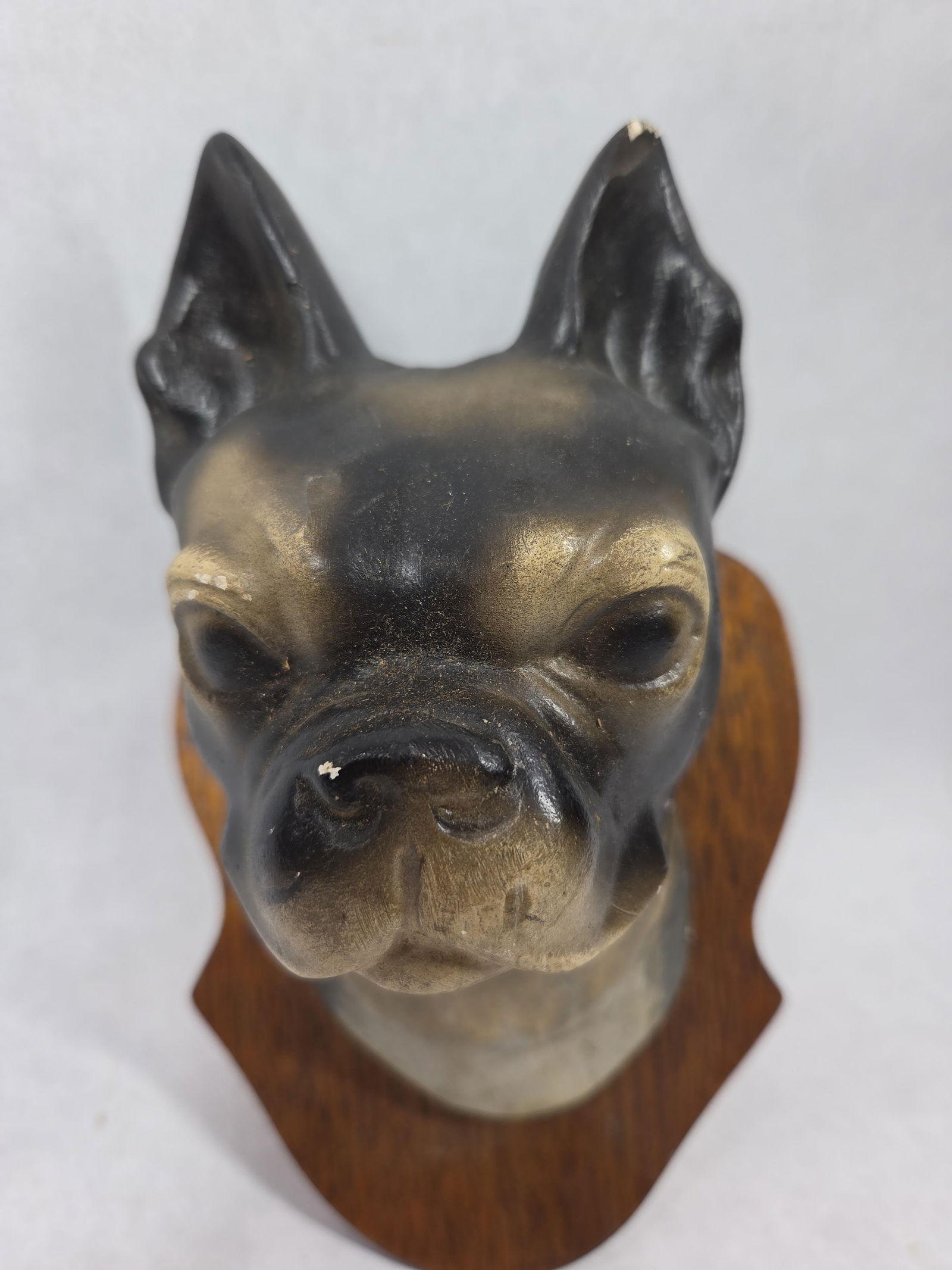 Sgt Stumpy Chalkware Head Mount - 4