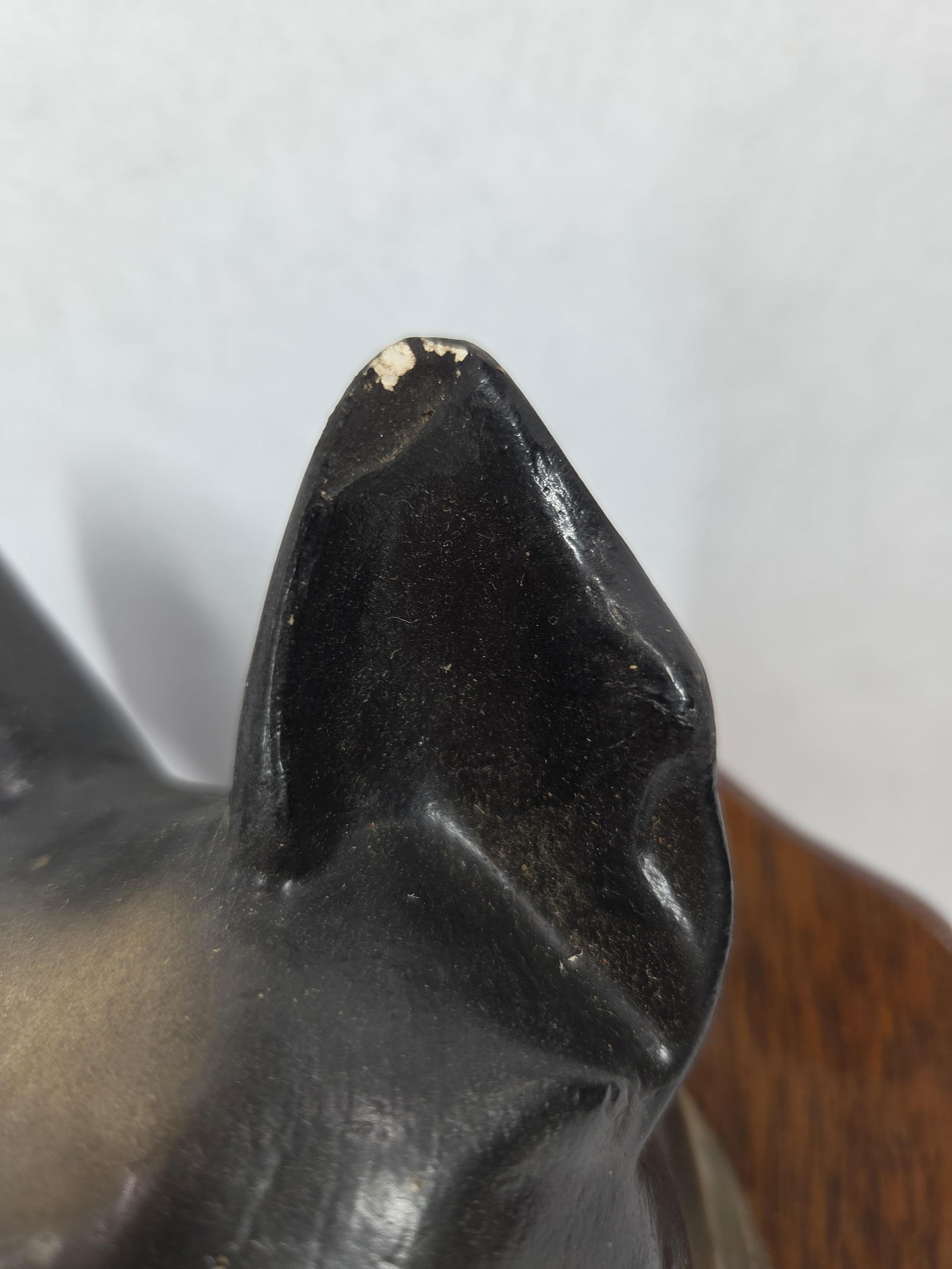 Sgt Stumpy Chalkware Head Mount - 5