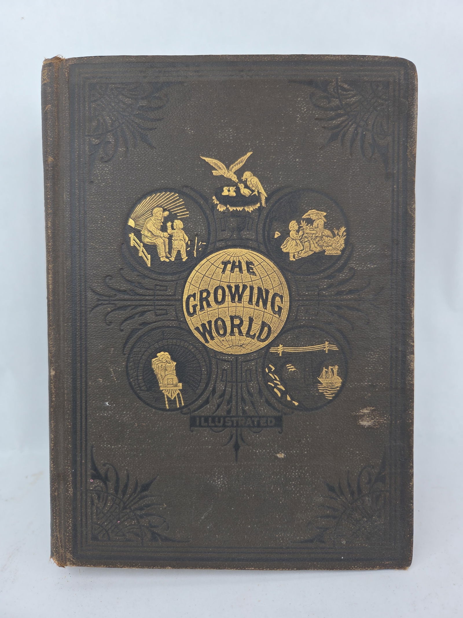 Early Readers lot - 8