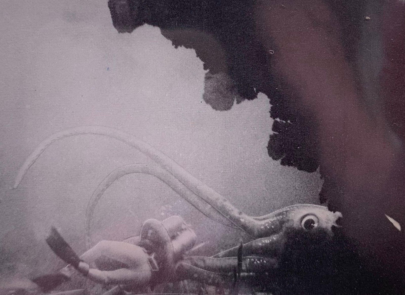 MINT 1964 Complete Series I 1-66 Trading Card Set of Voyage to the Bottom of the Sea: Each in Mint condition, stored in a plastic sheath inside of a hard plastic card sleeve.