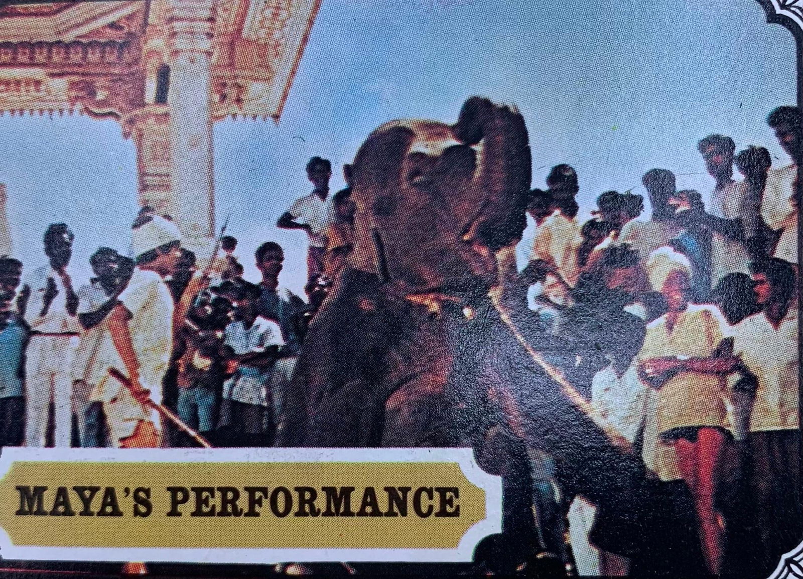 Complete 55 pc MINT 1967 Metro Goldwyn Mayer Mysteries of India MAYA Trading Card Set: Each card in a soft plastic sleeve Inside of a hard plastic sleeve, in SUPER clean condition.