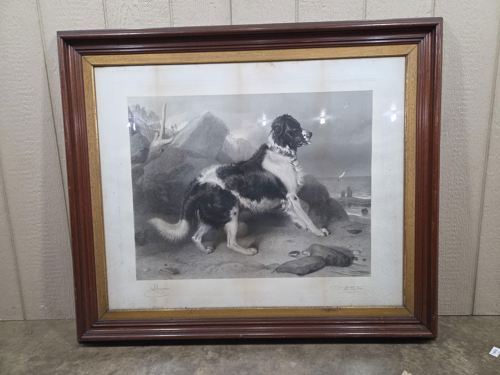 Large Newfoundland "To the Rescue" Etched Print: Originally from the Currier and Ives collection. This is a wonderfully crisp print with a wooden frame. 46x40