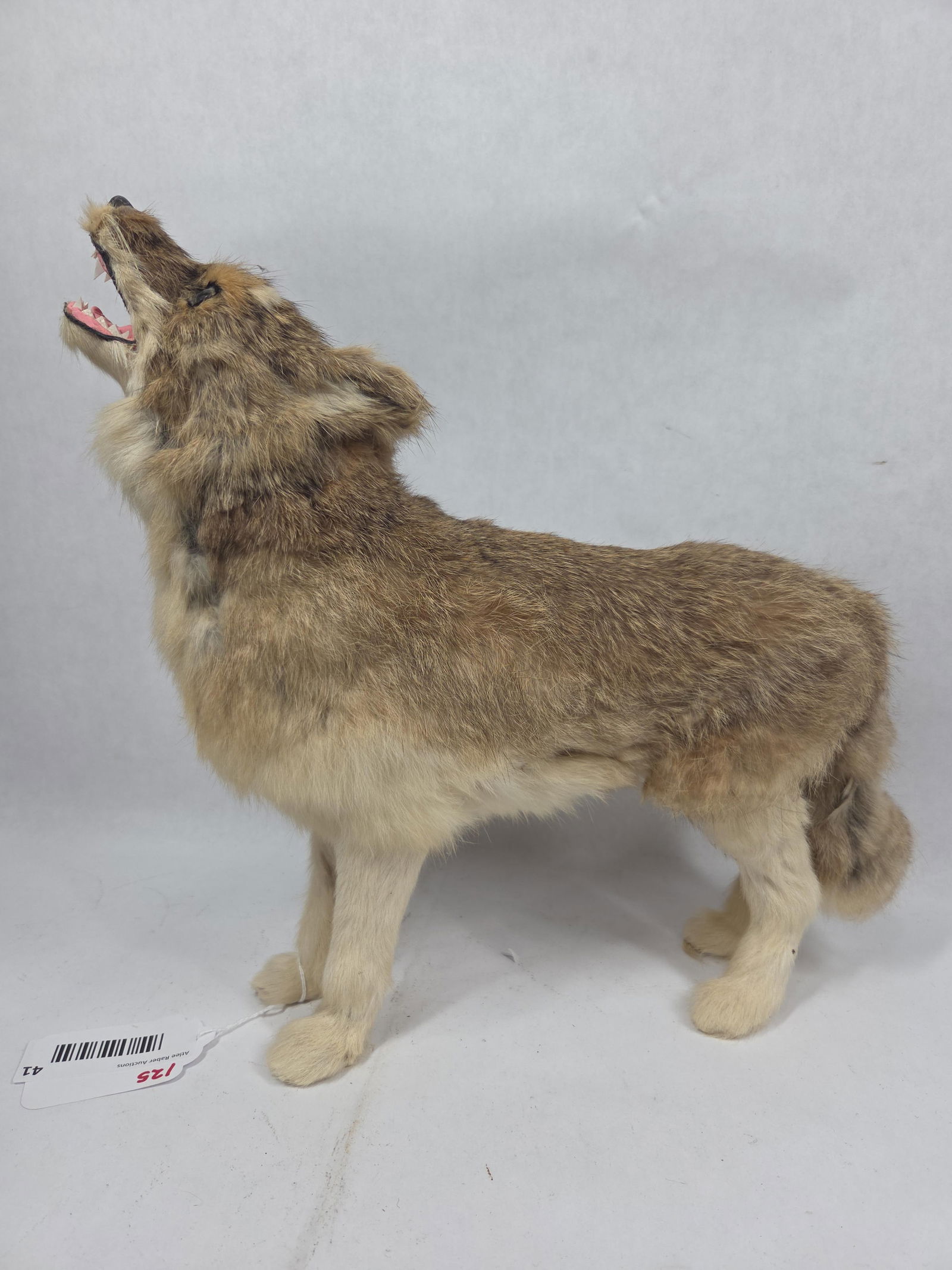 Faux Taxidermy Howling Wolf Hand Crafted Miniature Display: This is a great hand crafted faux display of a howling wolf measuring 12 x 13 in.