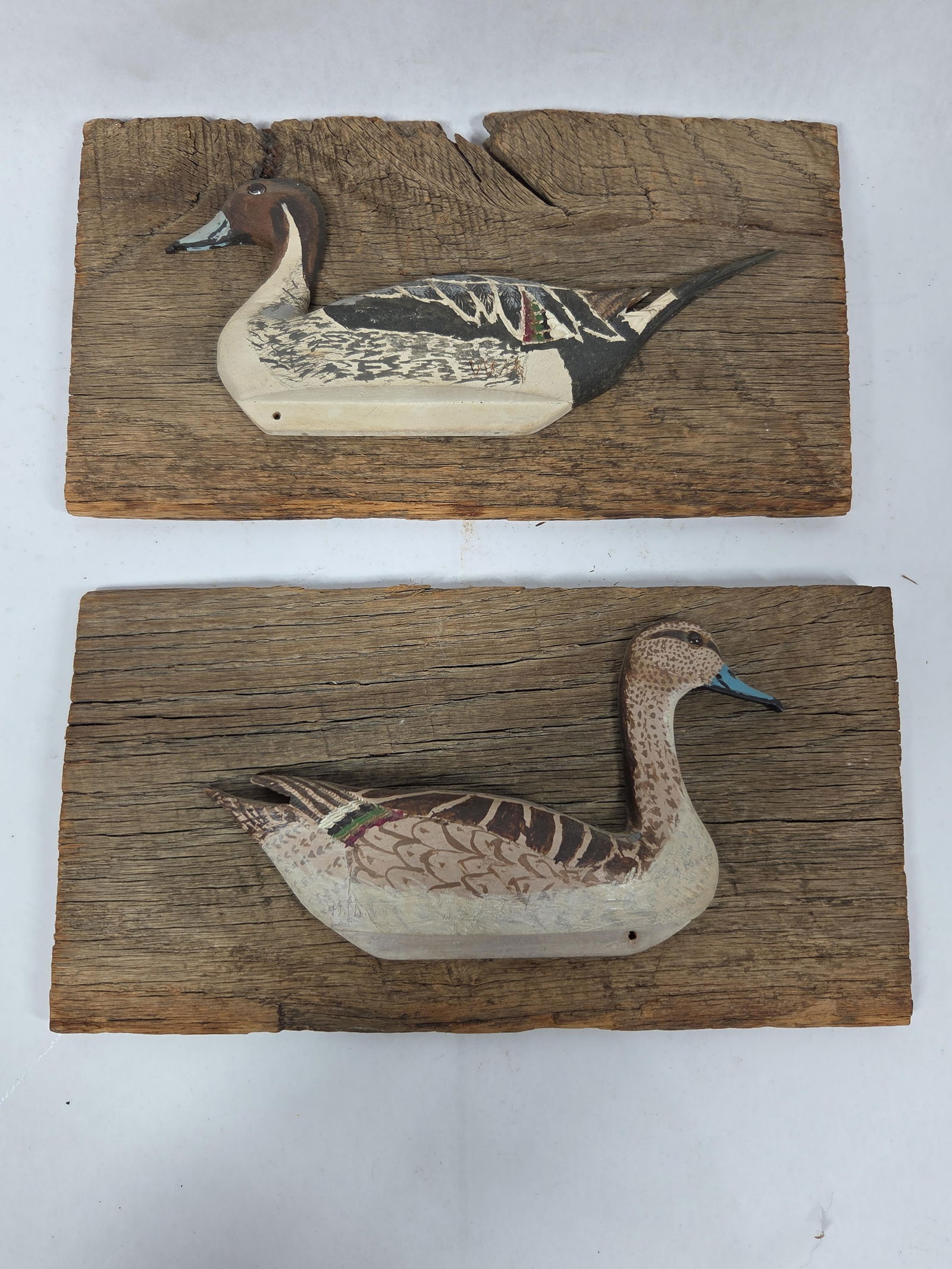 Pintail Drake & Hen Hand Carved Decoy Mounts: 2 carved duck displays on rustic barn wood. Each duck features a glass eye and is signed WM. 11x6