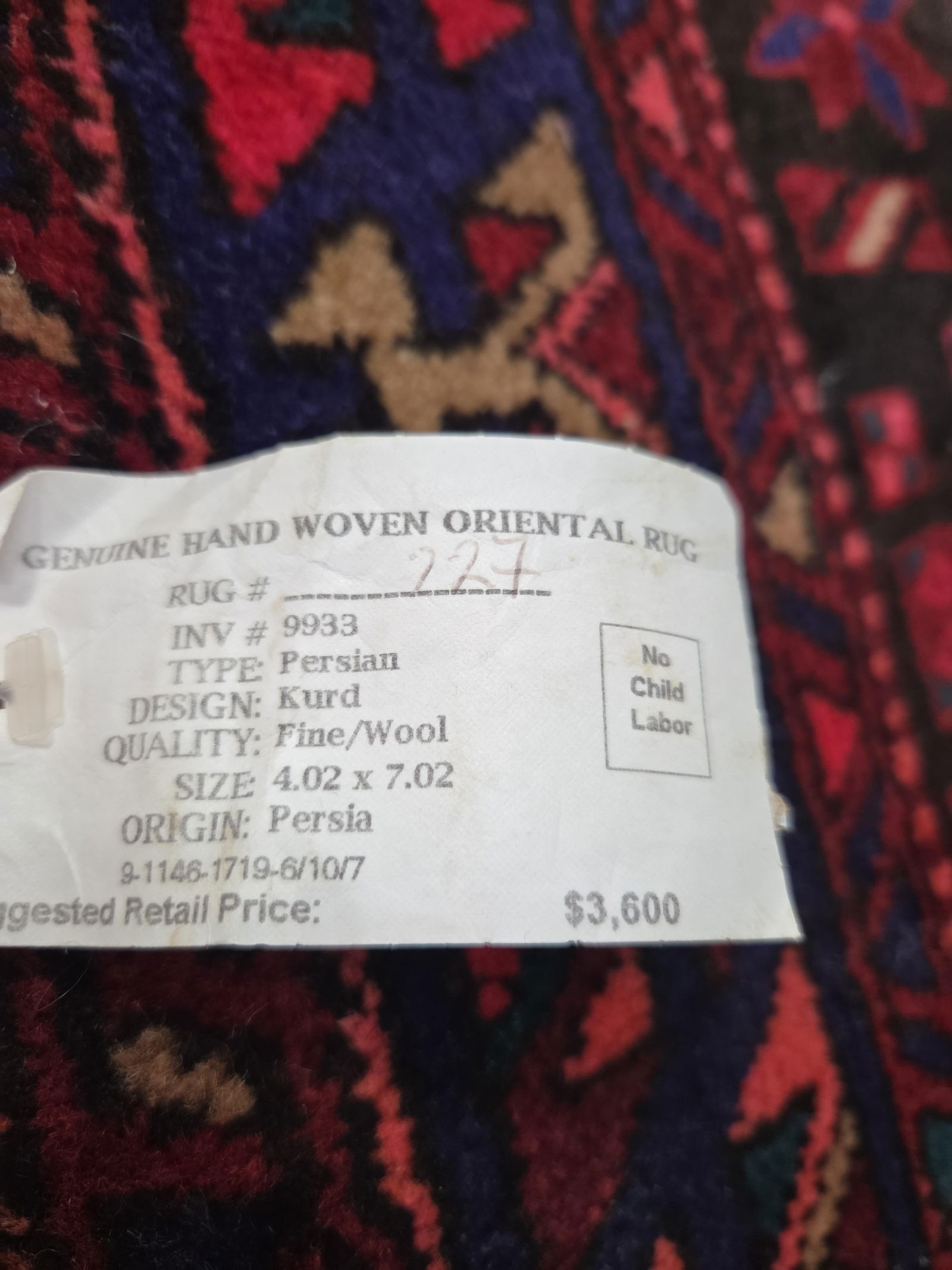 Persian Oriental Wool Rug - 9