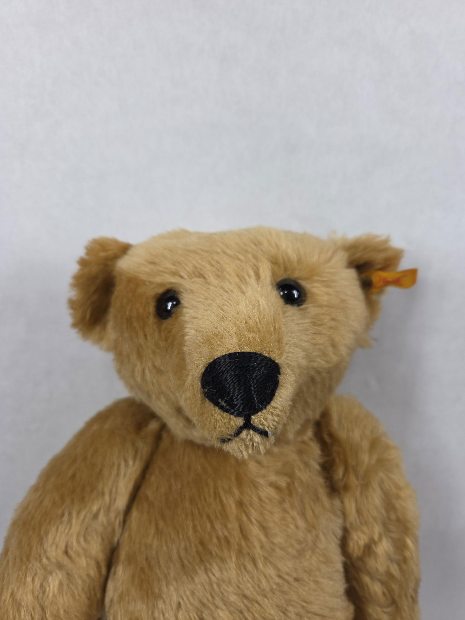 Steiff 1ooth Anniversary Papa Bear - 2