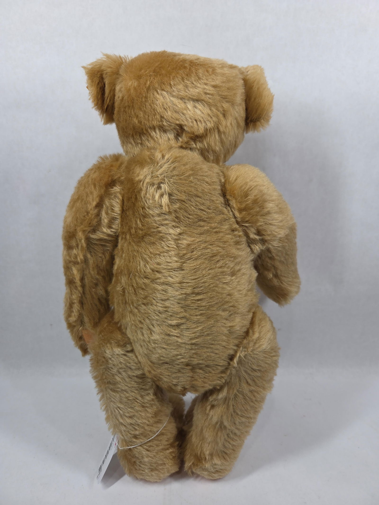 Steiff 1ooth Anniversary Papa Bear - 4