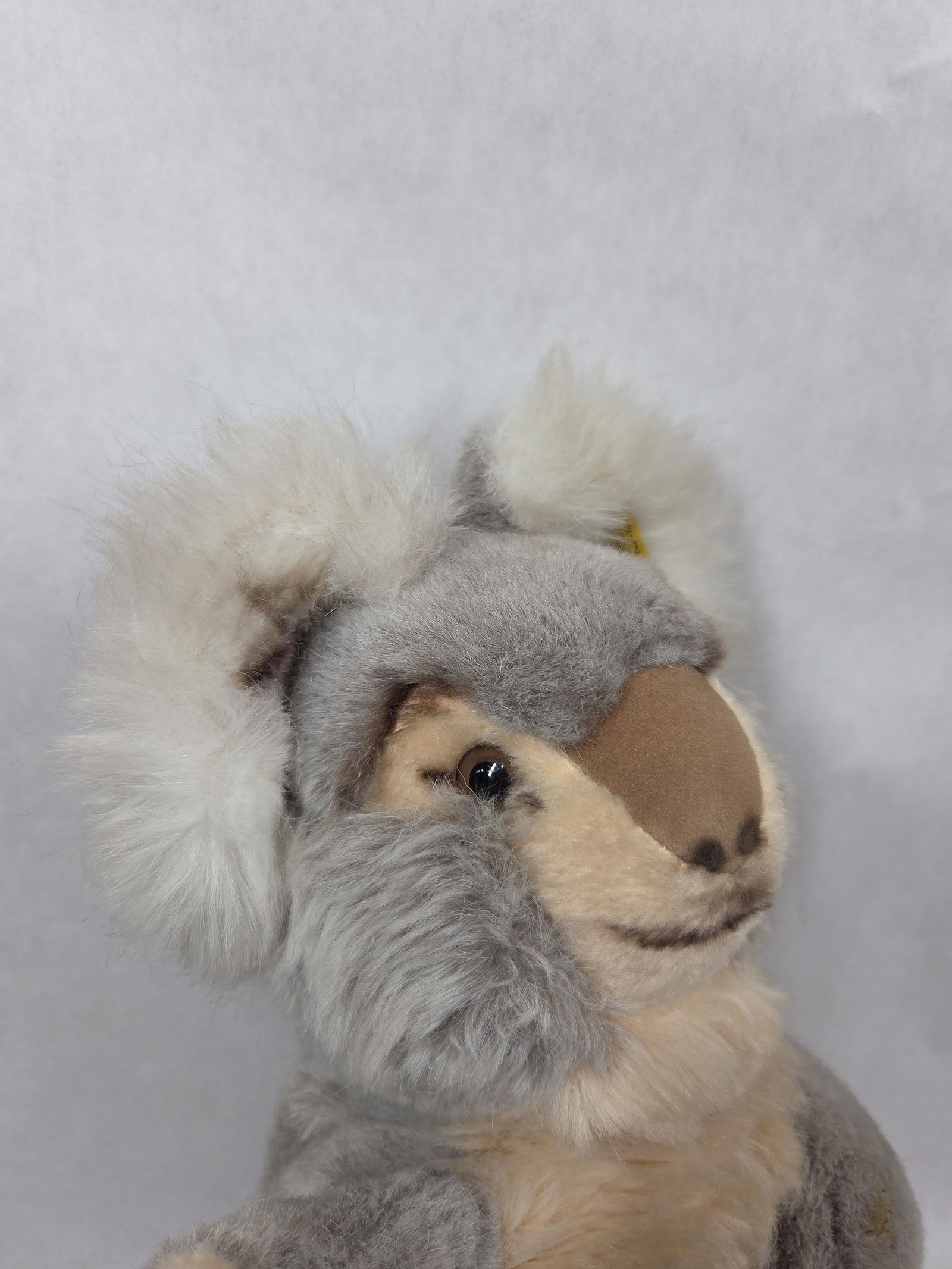 Steiff Molly Koala - 2