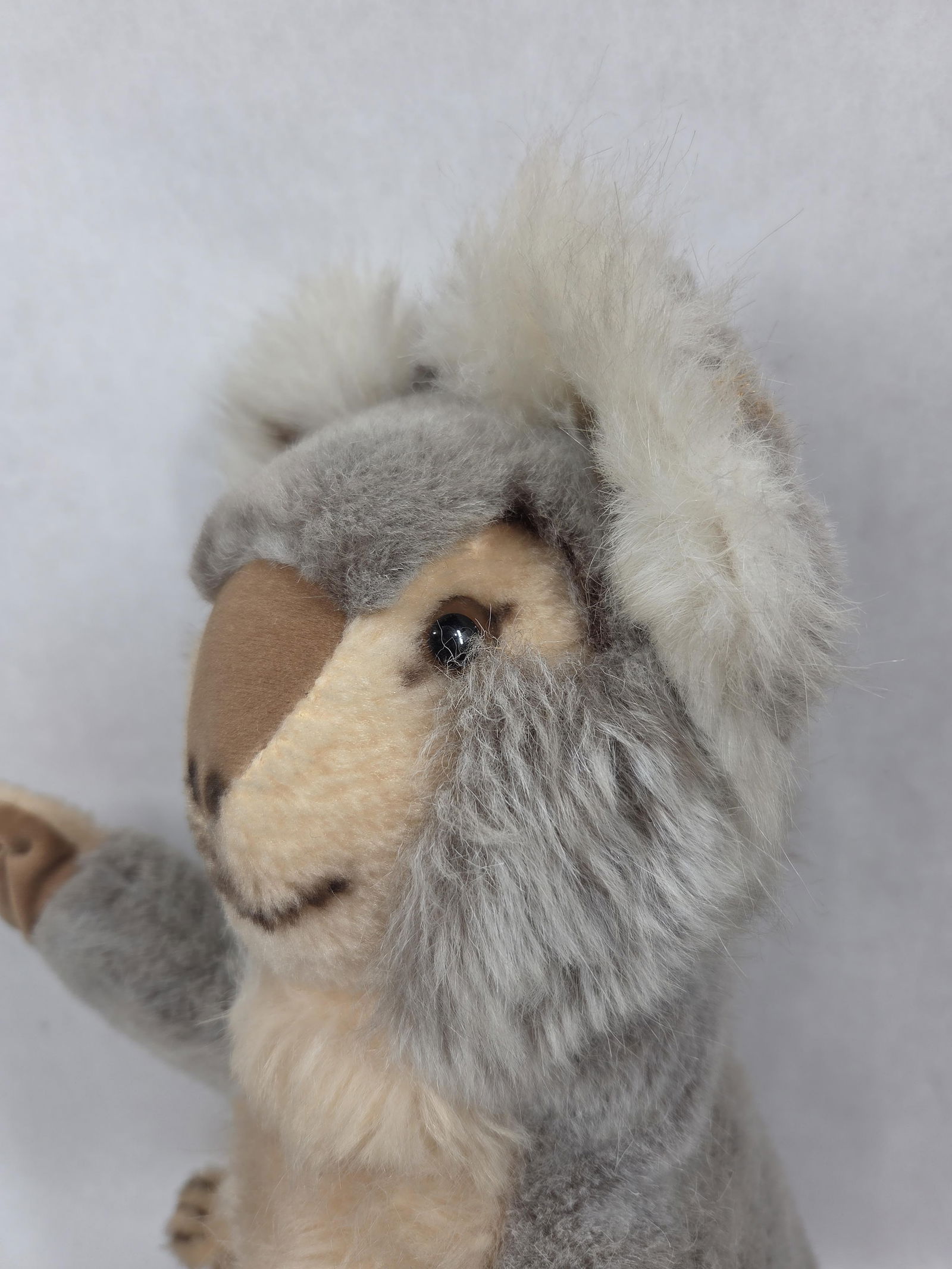 Steiff Molly Koala - 5