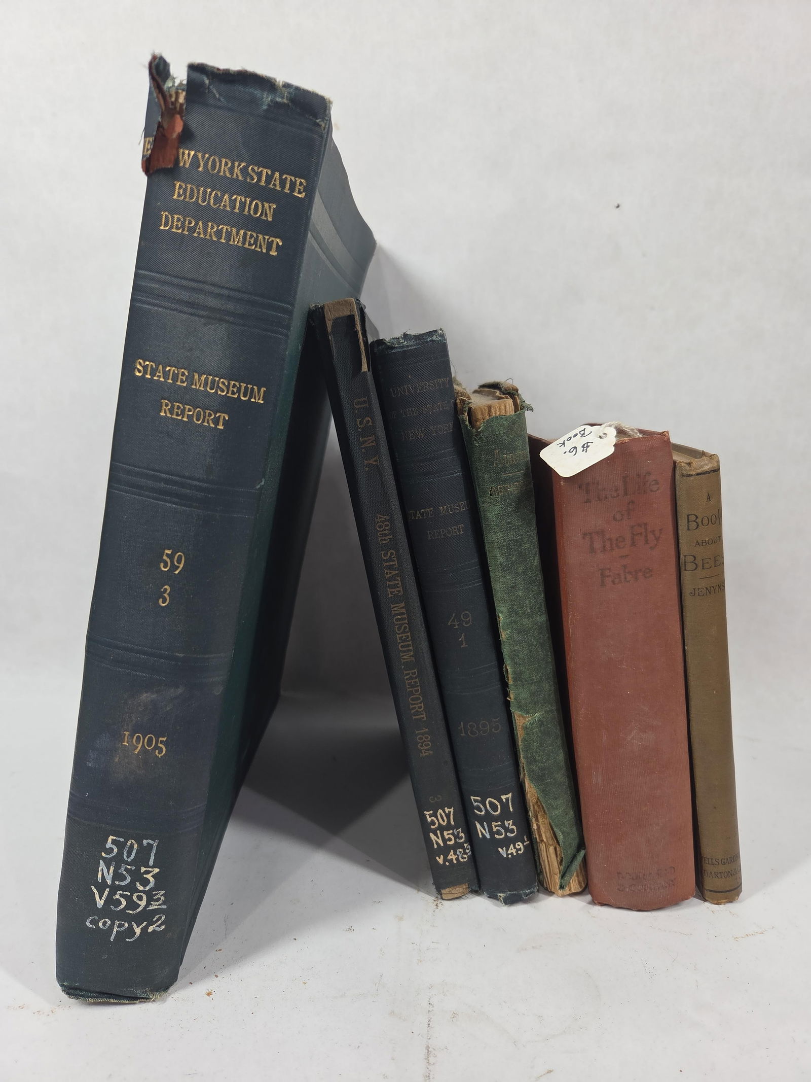 1800's and Early 1900's New York State Museum Reports & 2 Early Readers (1 of 18)