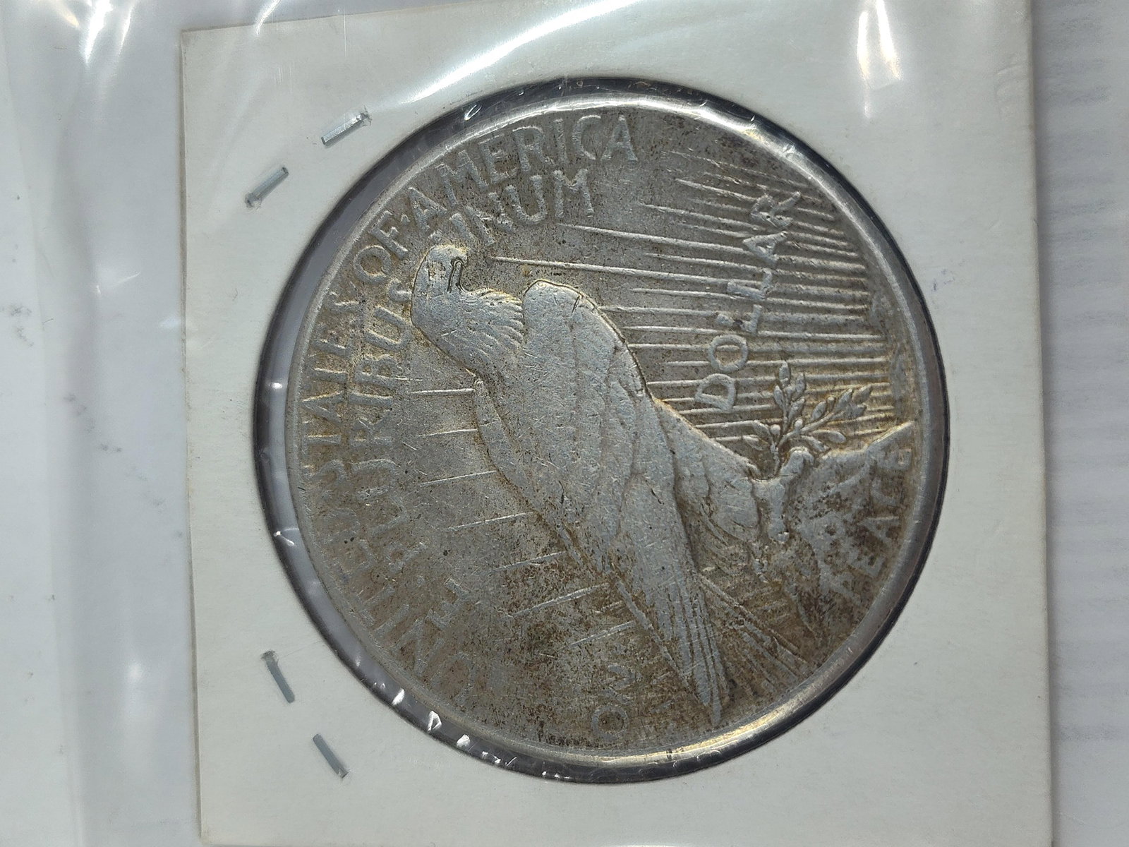 1925 Peace Silver Dollar - 2