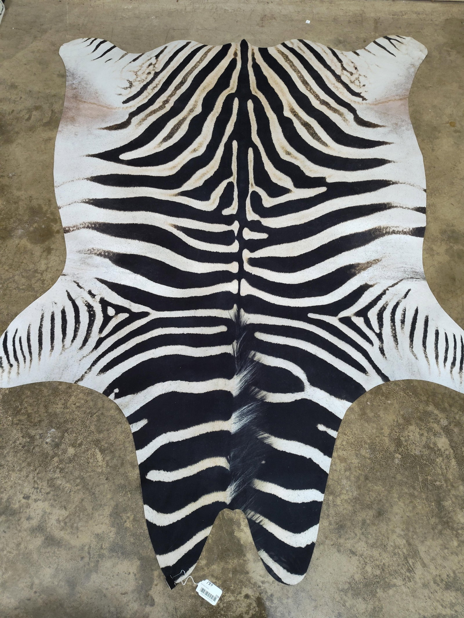 Zebra Print Felted Hide Rug: Stunning beautiful! Ideal for bedroom or living room. Excellent Flawless condition!! Super soft with an awesome look!! 72in x 84in.