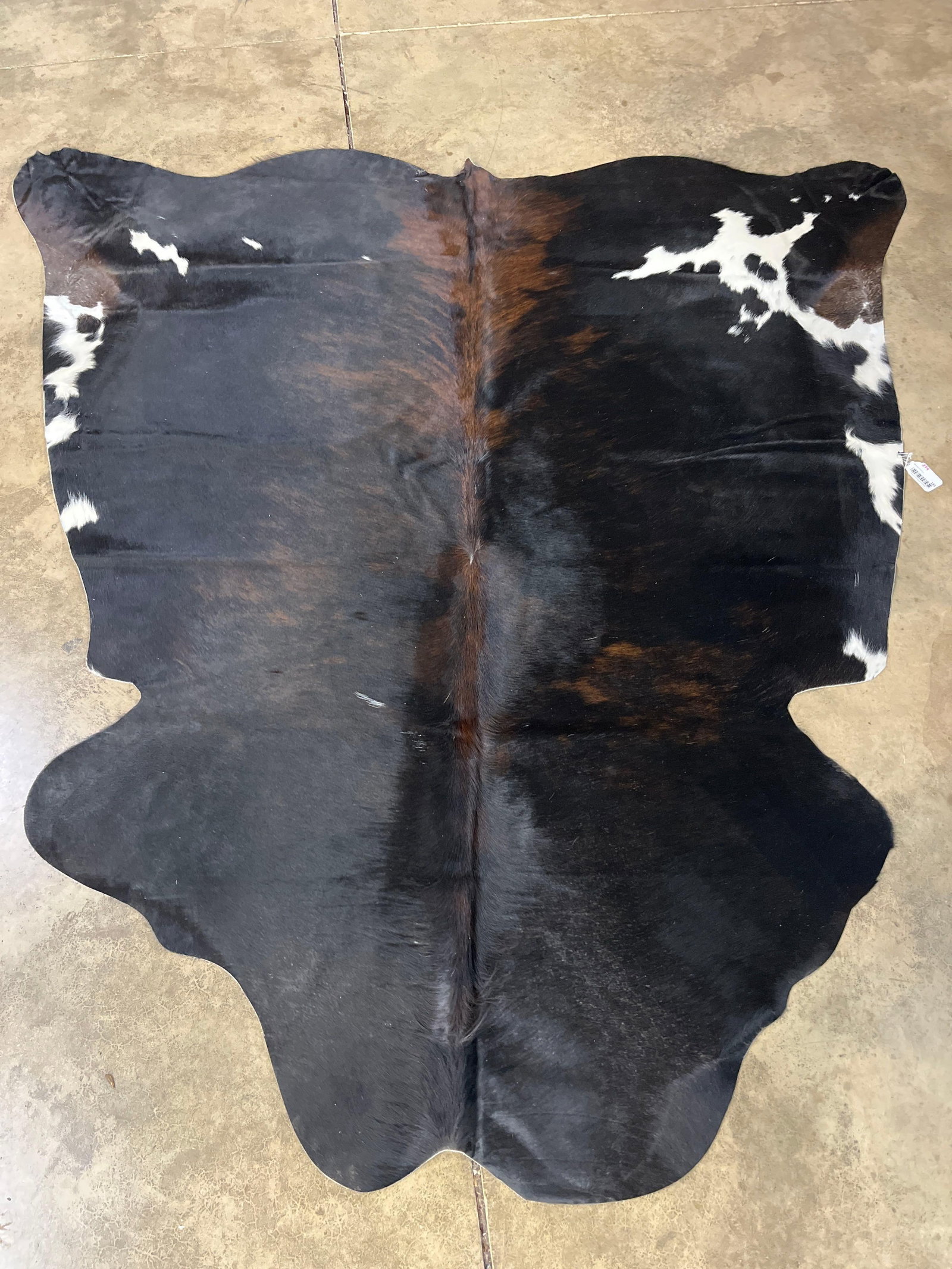 Soft Tanned Brazilian Cow Hide: 85x65