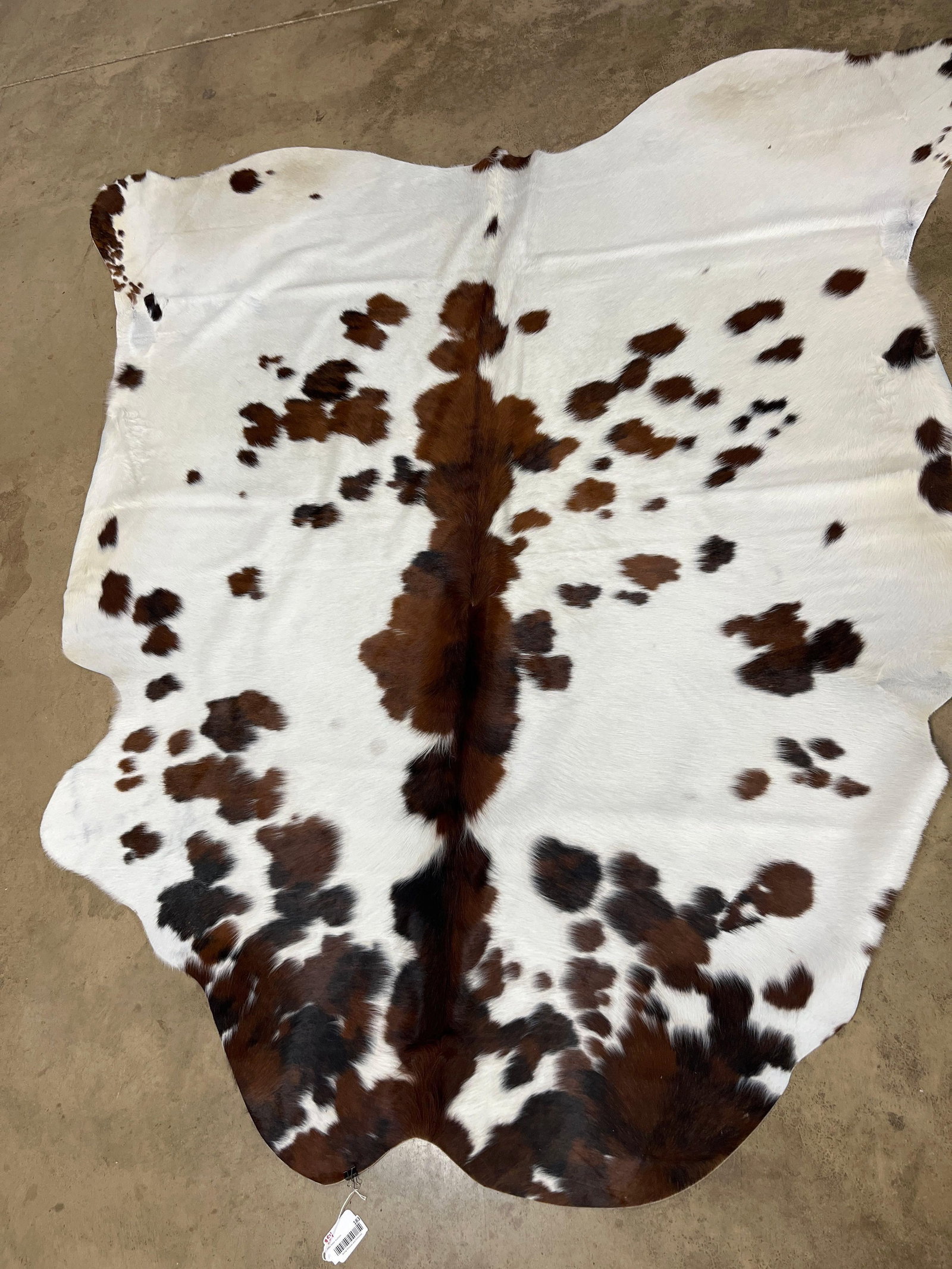 Soft Tanned Brazilian Cow Hide: 84x82