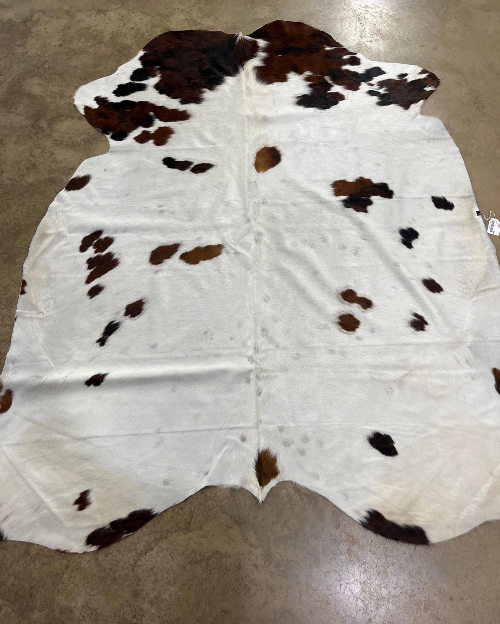 Soft Tanned Brazilian Cow Hide: 86x67