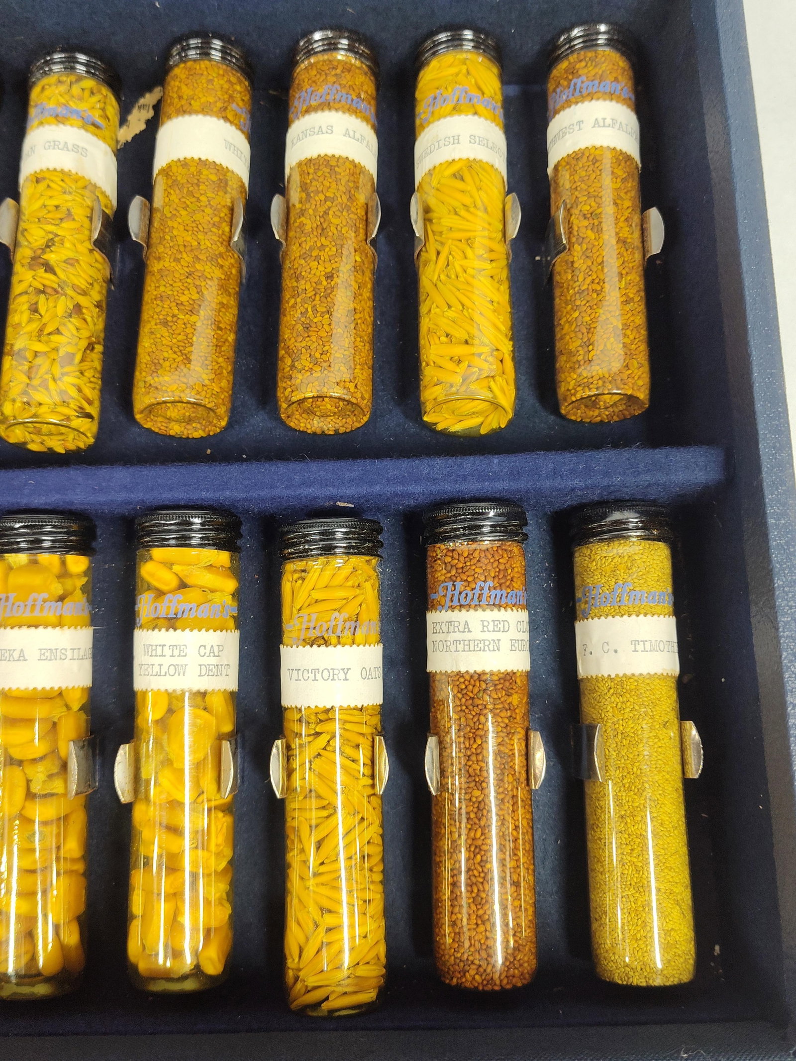 Hoffman's Salesman Sample Seed Display Case - 3