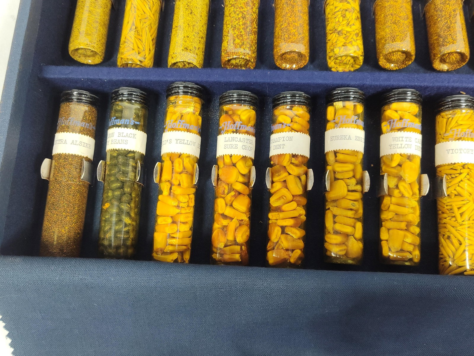 Hoffman's Salesman Sample Seed Display Case - 4