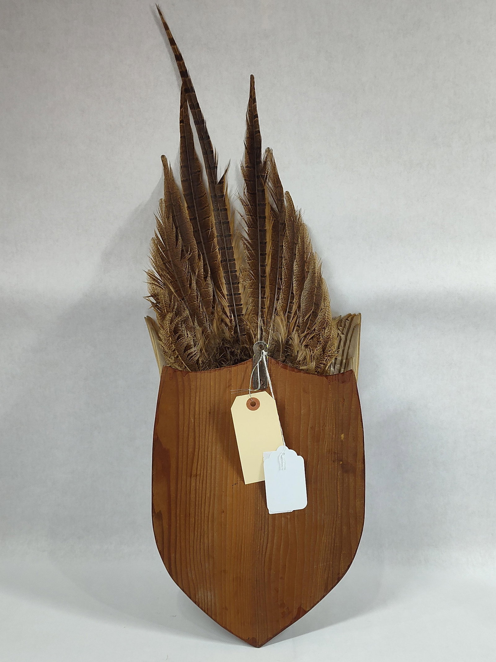Taxidermy Pheasant - 9