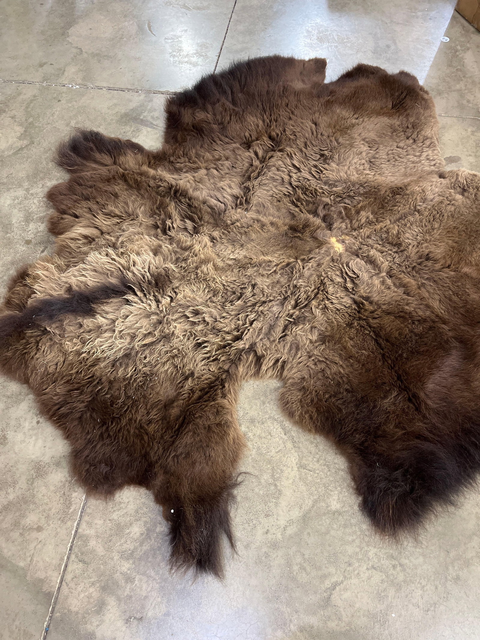 Soft Tanned Buffalo Hide - 2