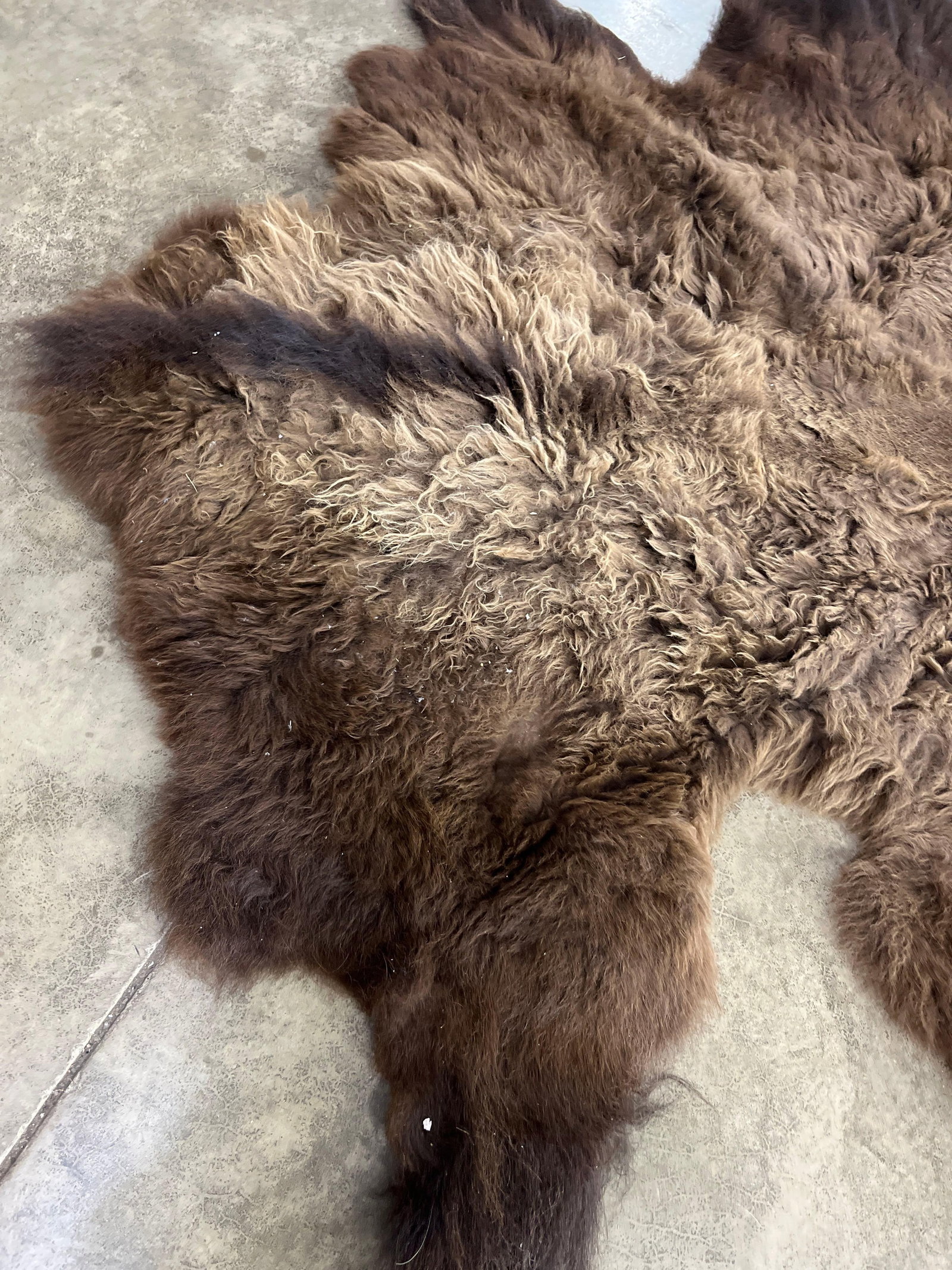 Soft Tanned Buffalo Hide - 3