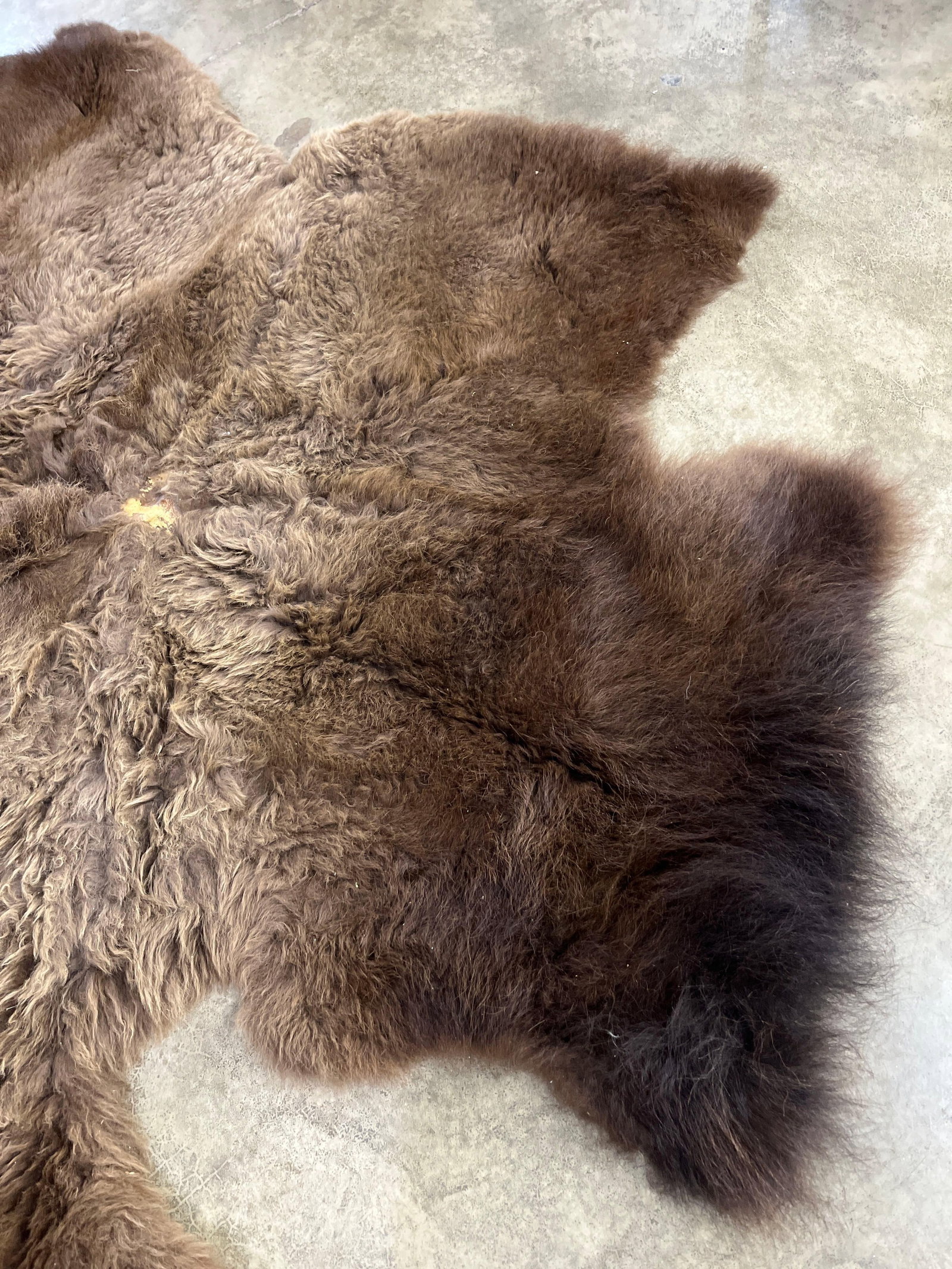 Soft Tanned Buffalo Hide - 4