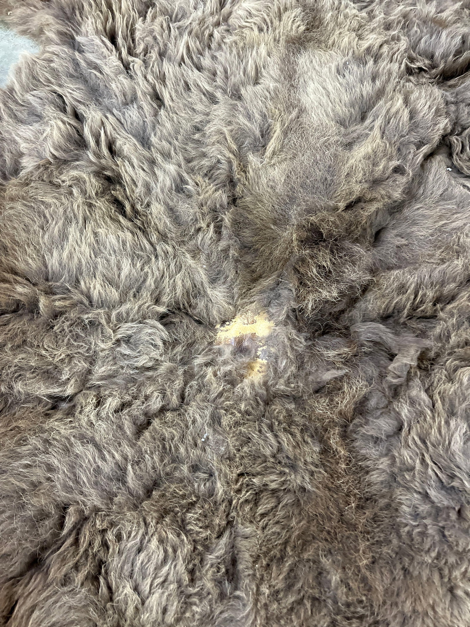 Soft Tanned Buffalo Hide - 5